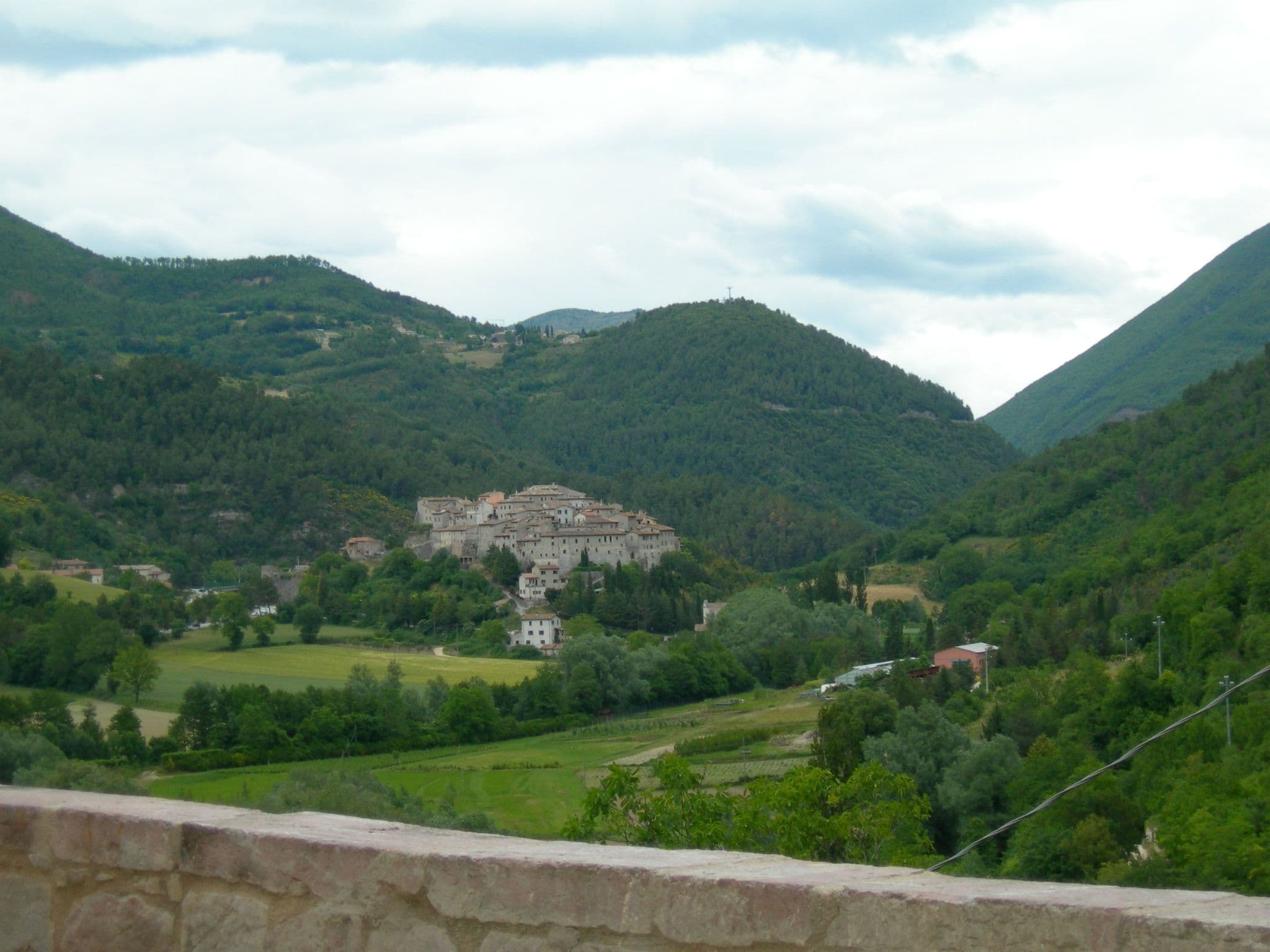 View