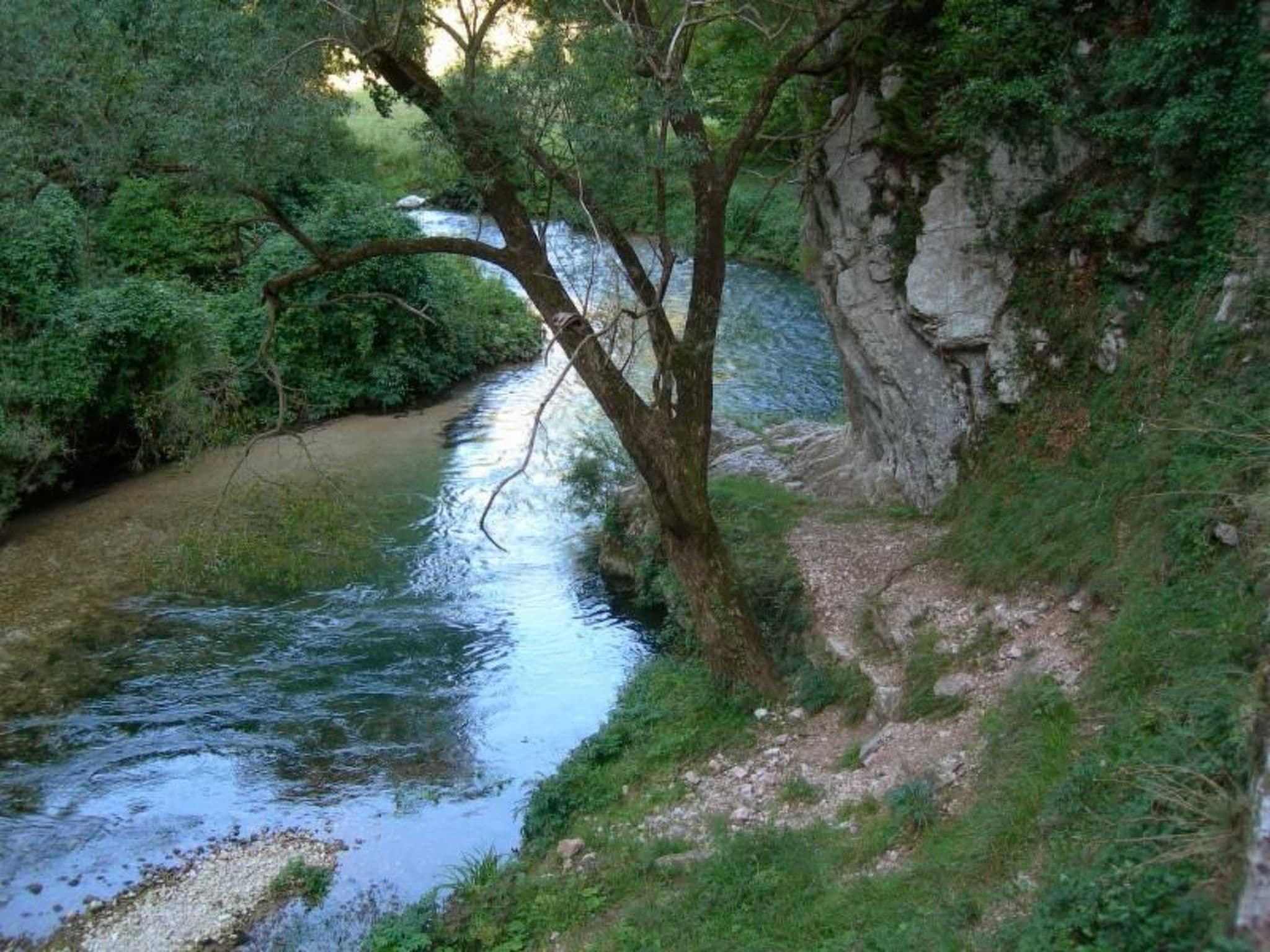 Gallery Image 27