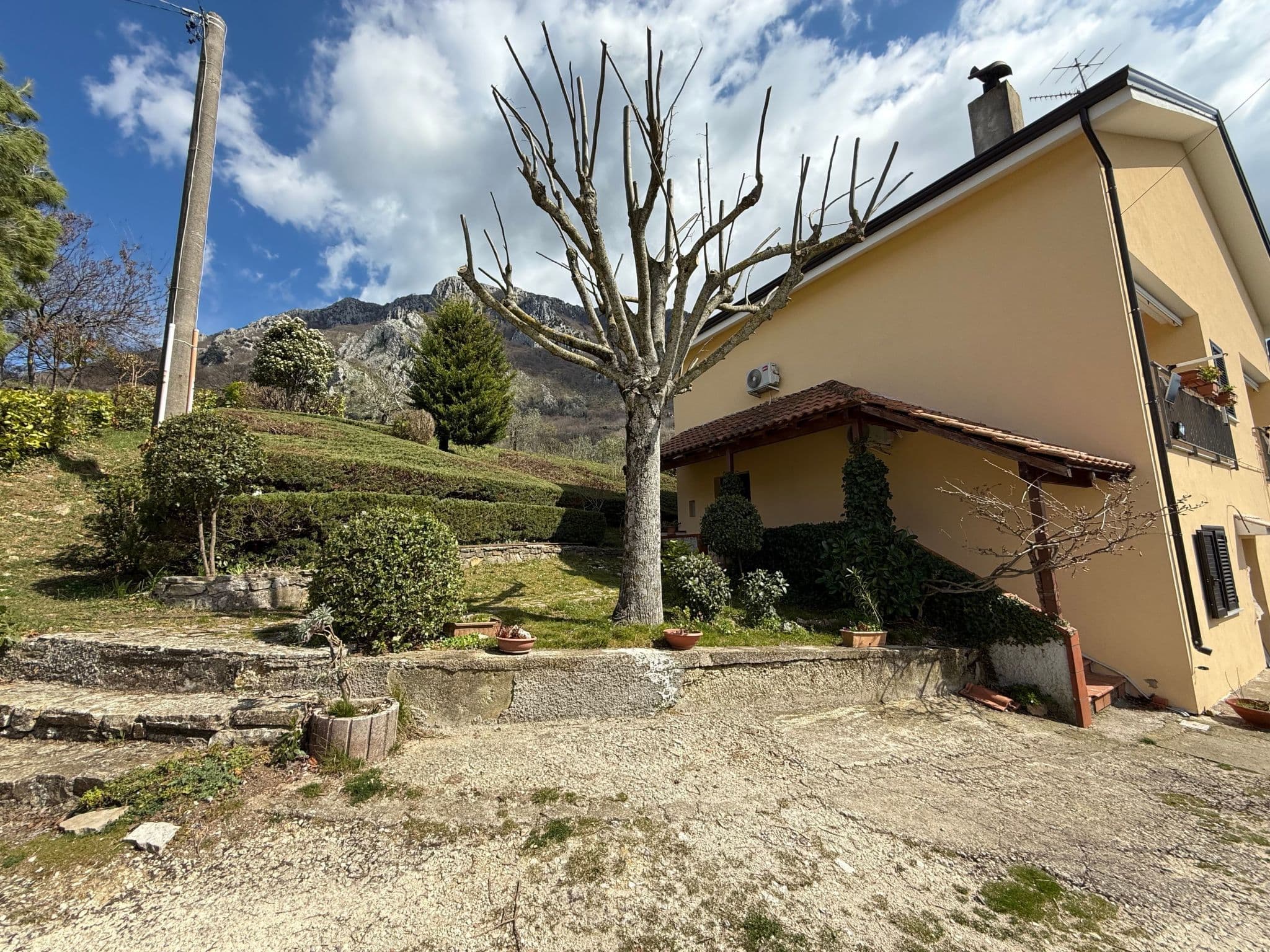 Gallery Image 28
