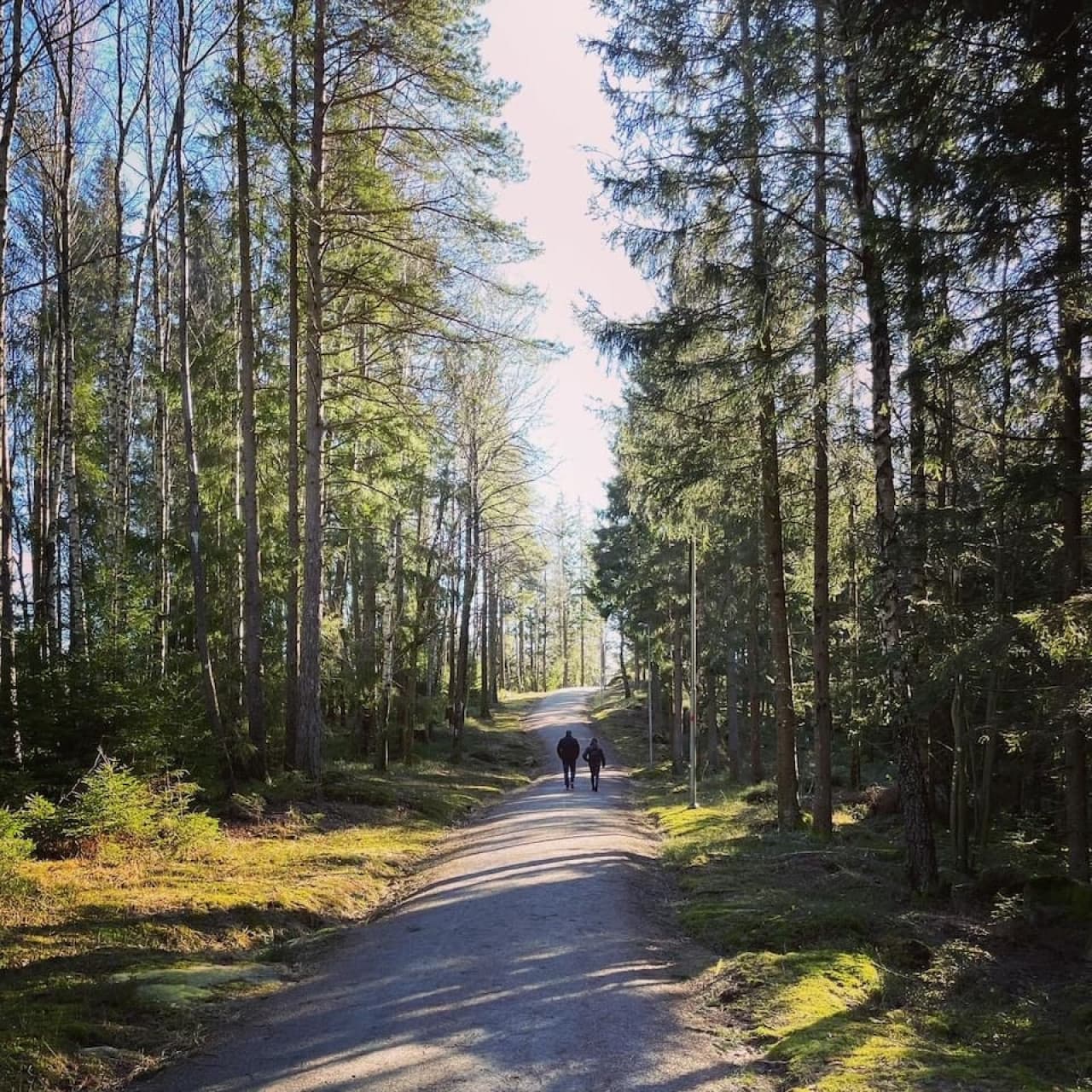 Many hiking trails are available around Gråbogården