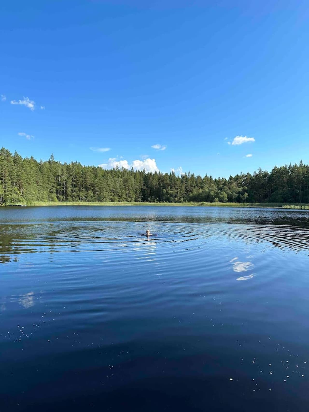 Swimming in the lake at Gråbogården