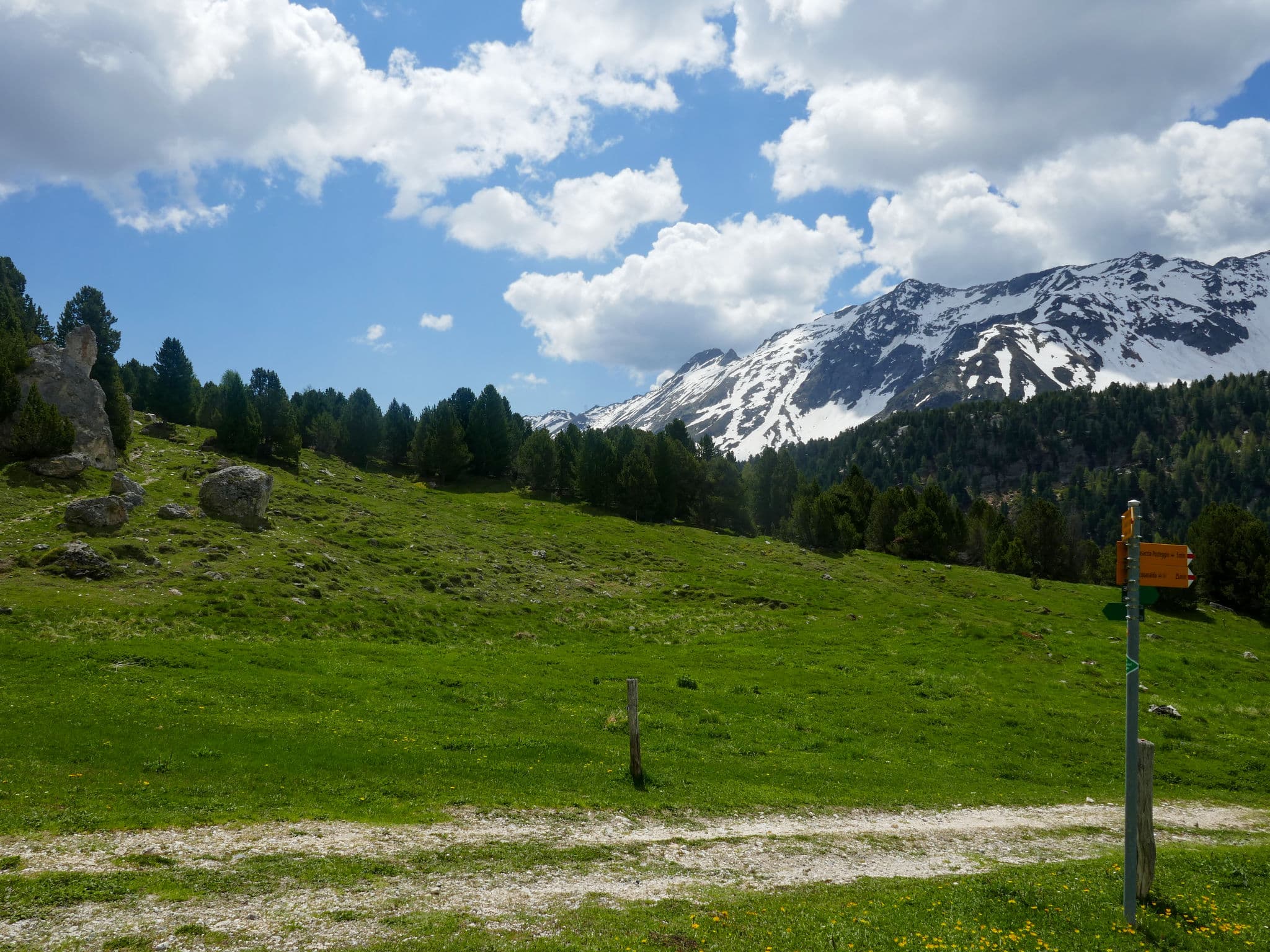 View