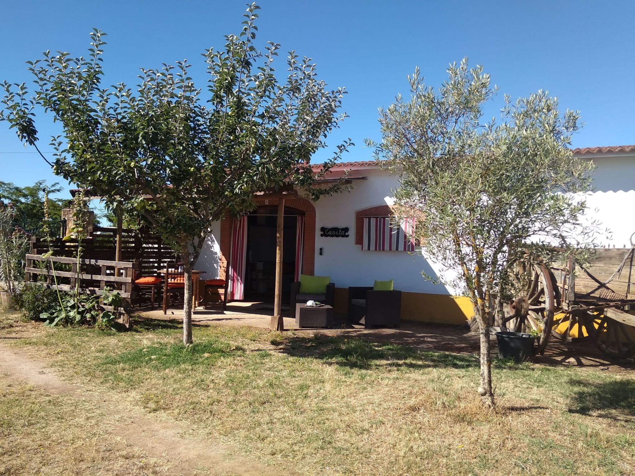 Gallery Image 21