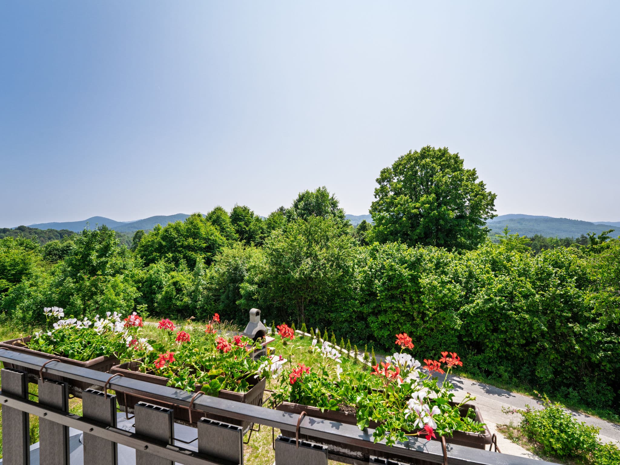 View