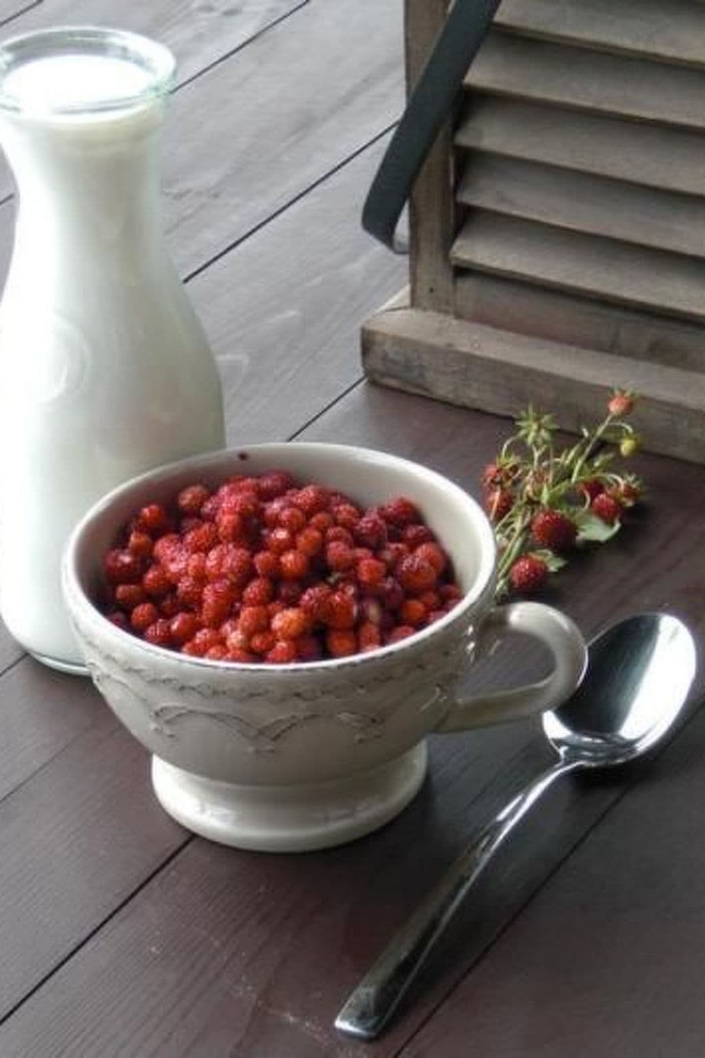 Gallery Image 21