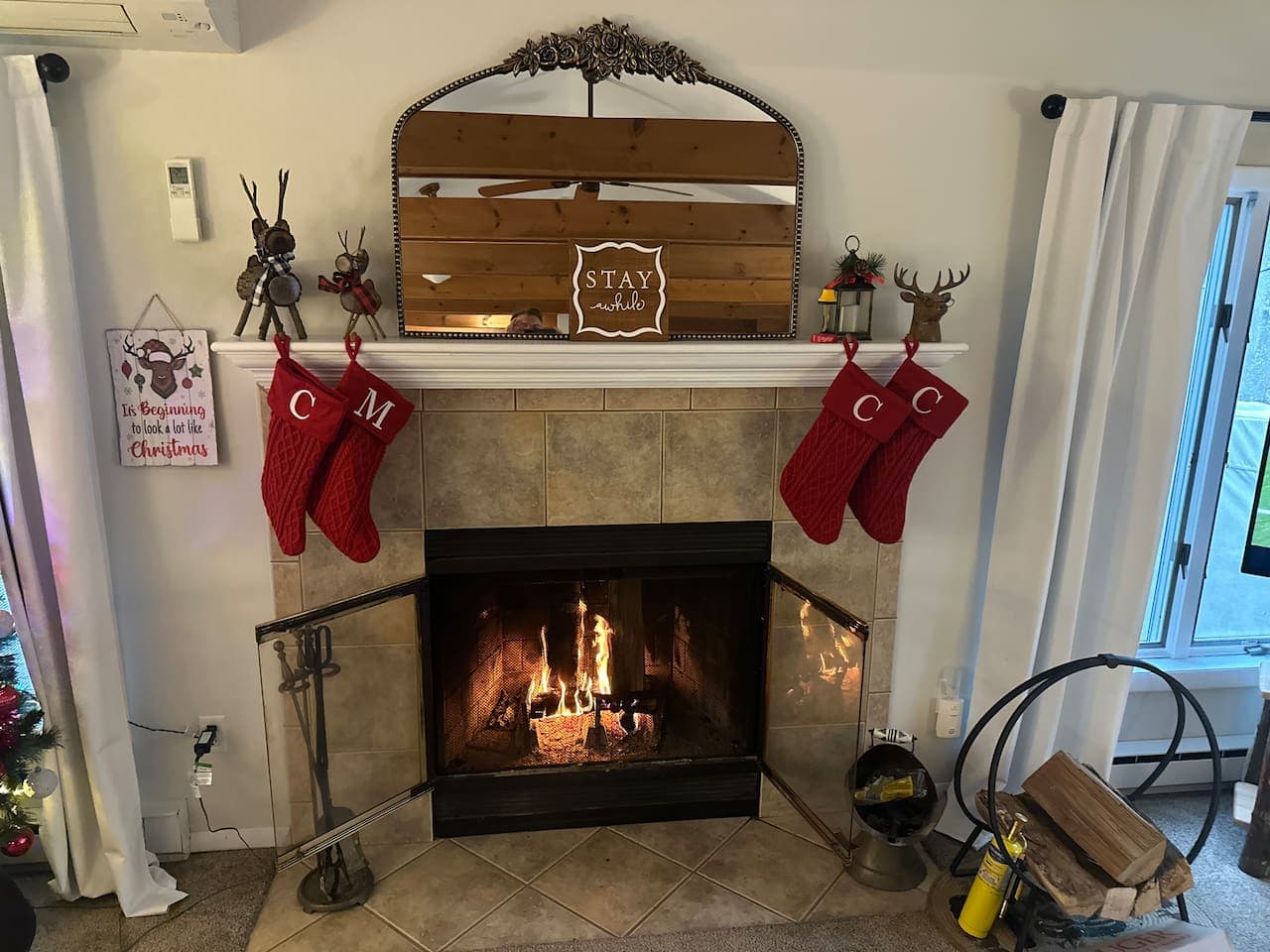 Wood burning fireplace