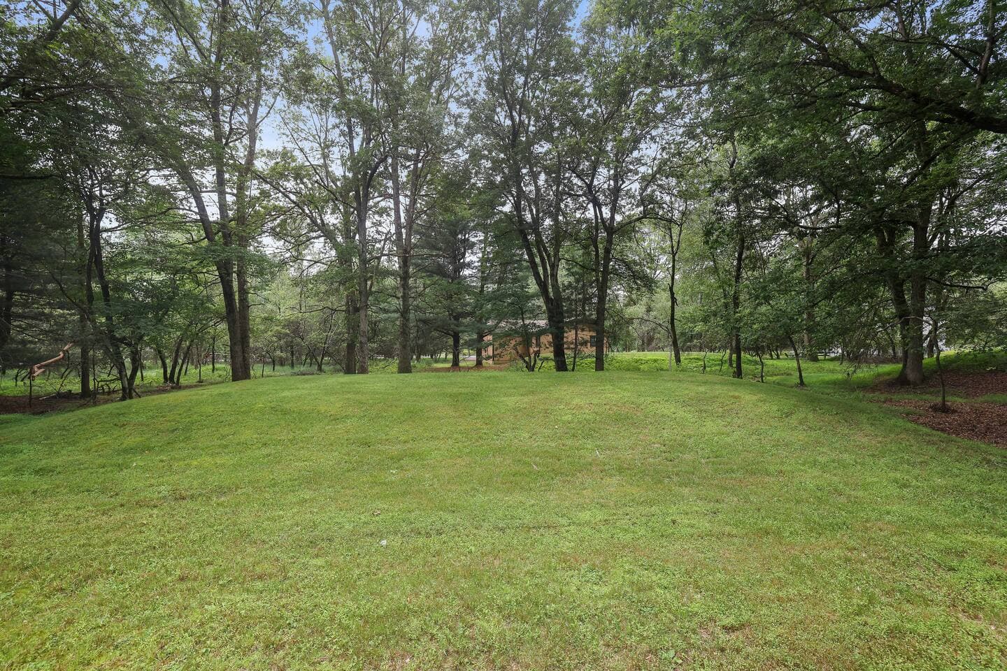 Gallery Image 63