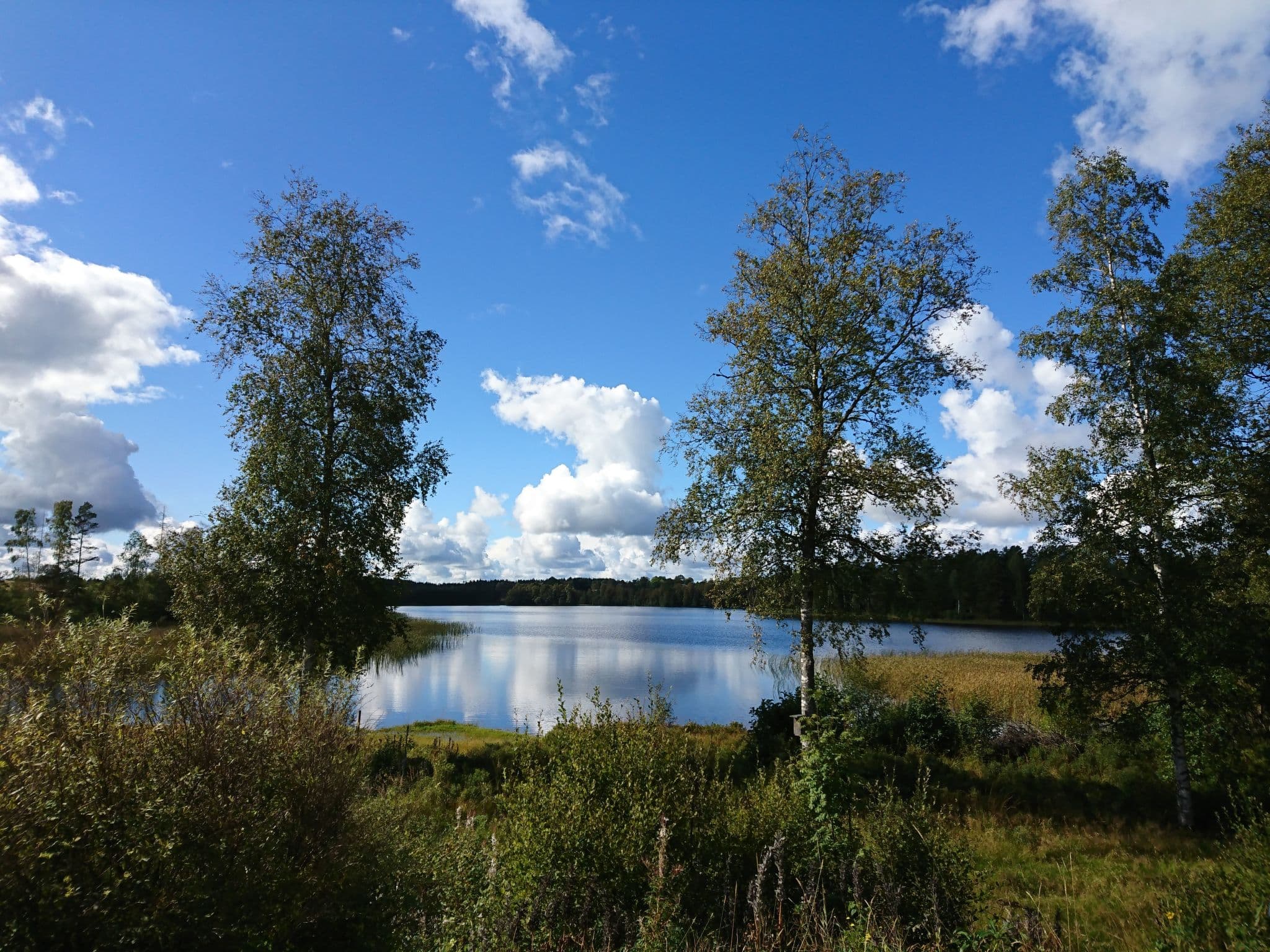 View