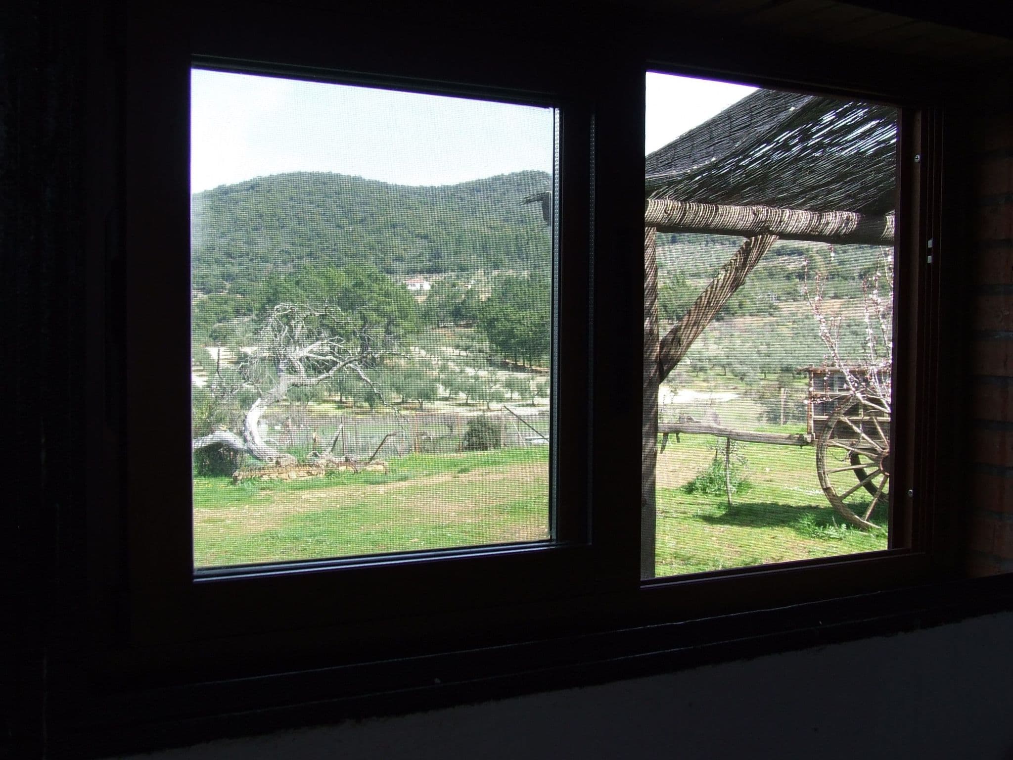Gallery Image 13