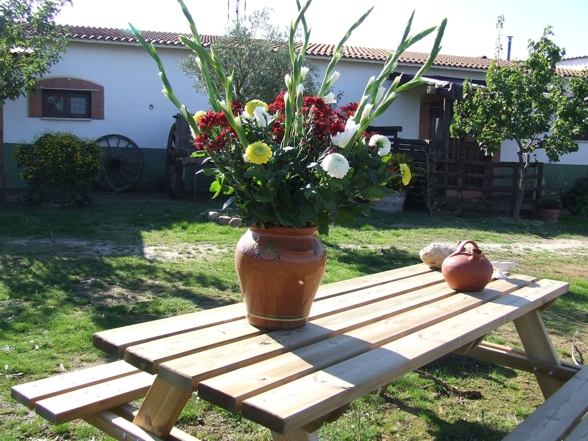 Gallery Image 20
