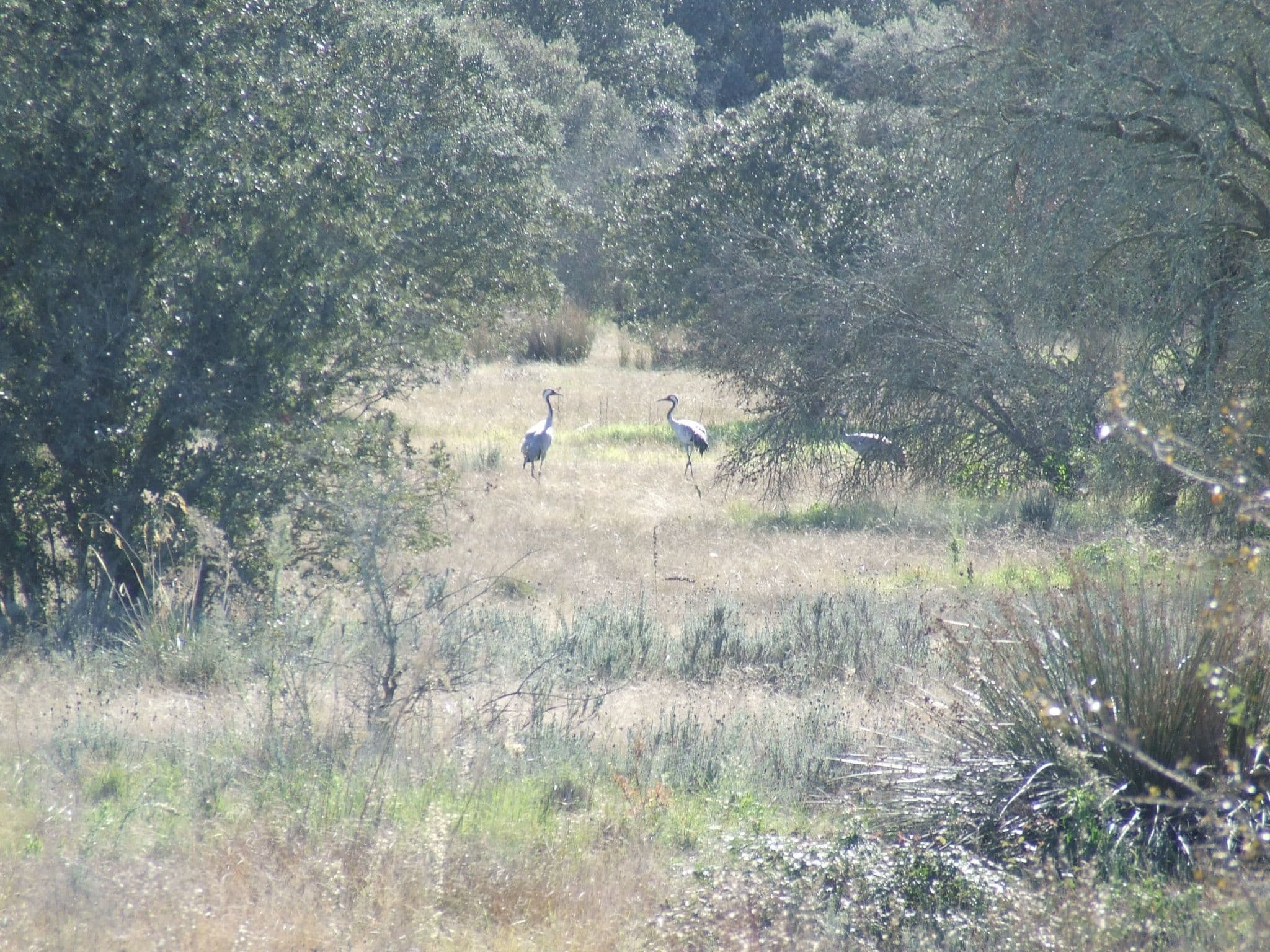 Gallery Image 27