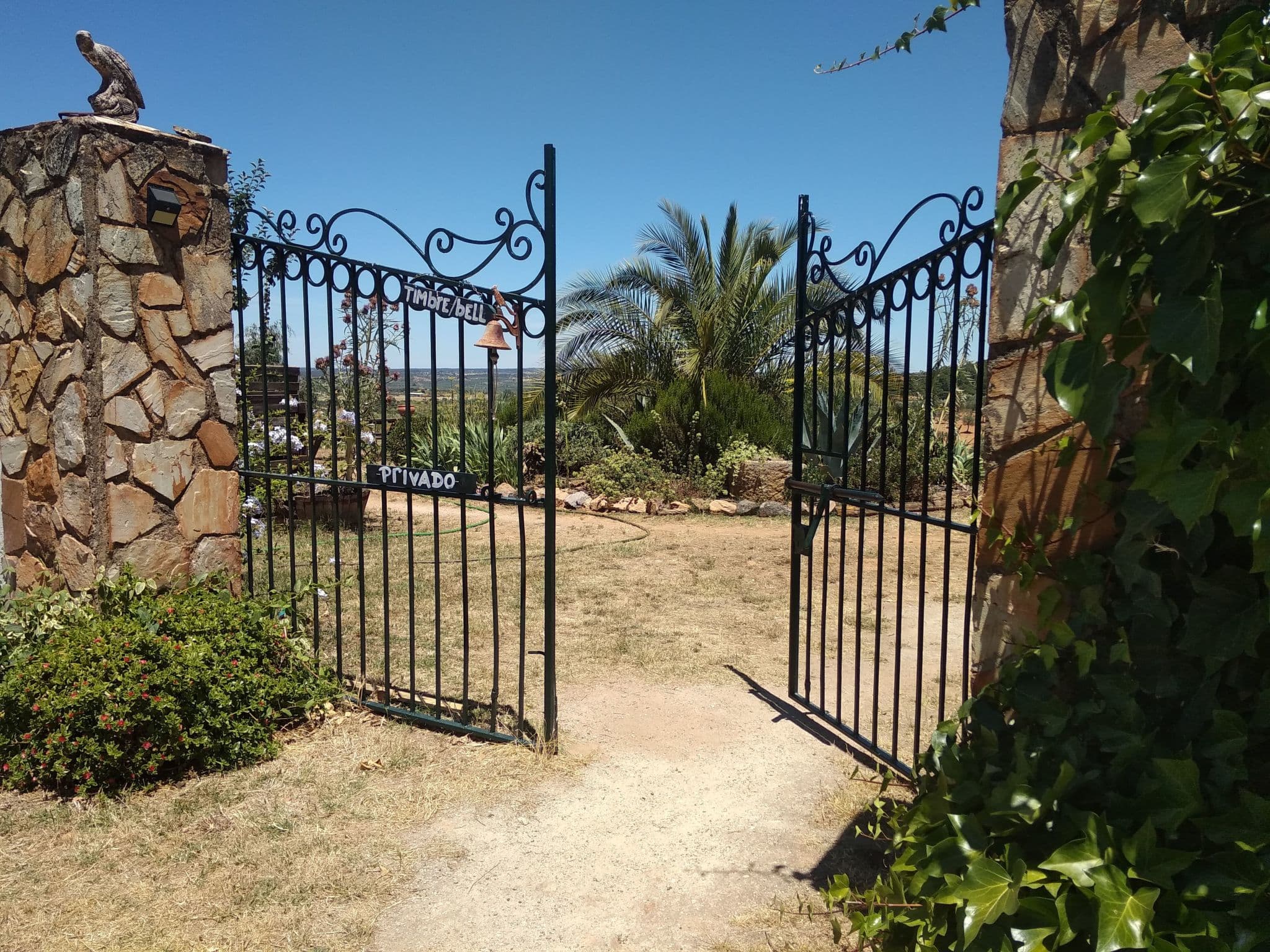 Gallery Image 37