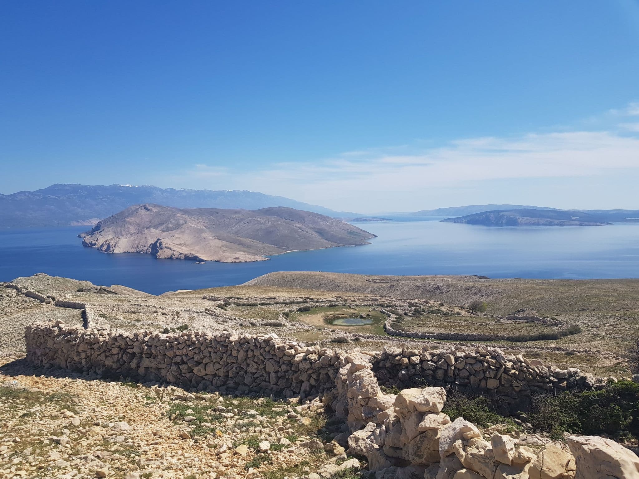 View