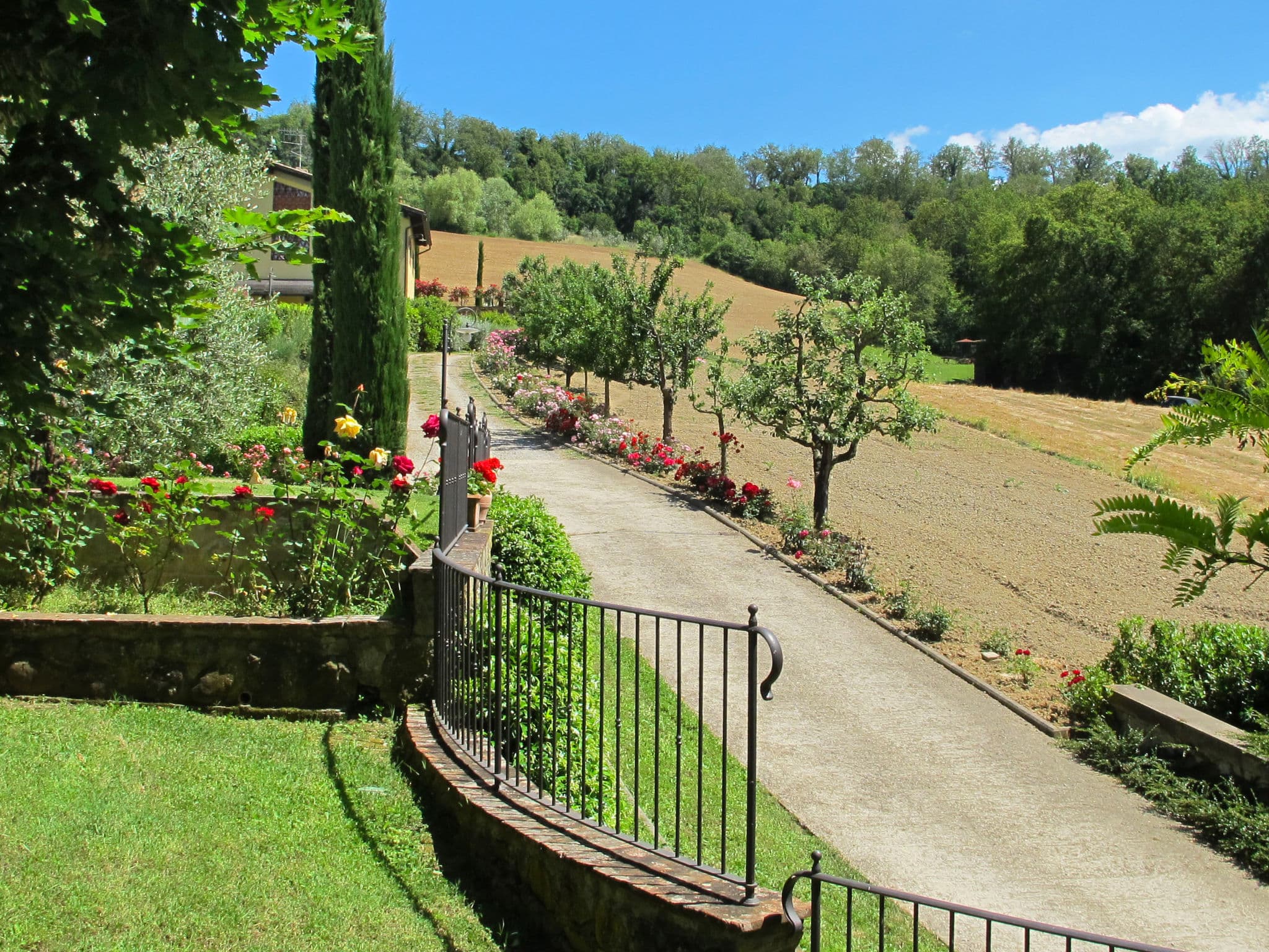View