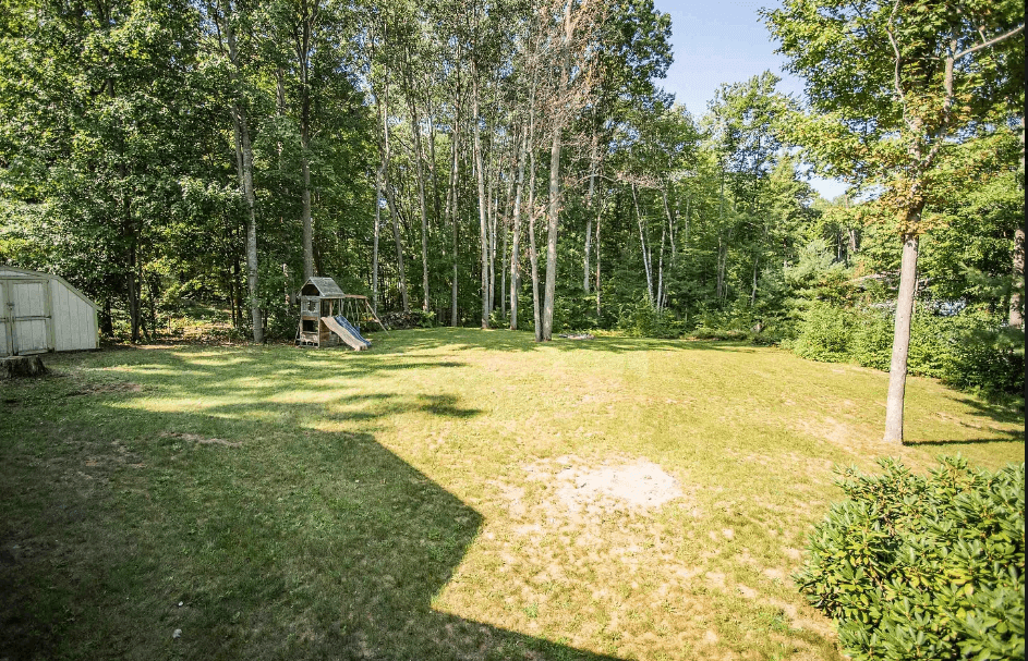Backyard Paradise: Expansive lawn with a playset, surrounded by lush, serene woodlands. Perfect for adventures!