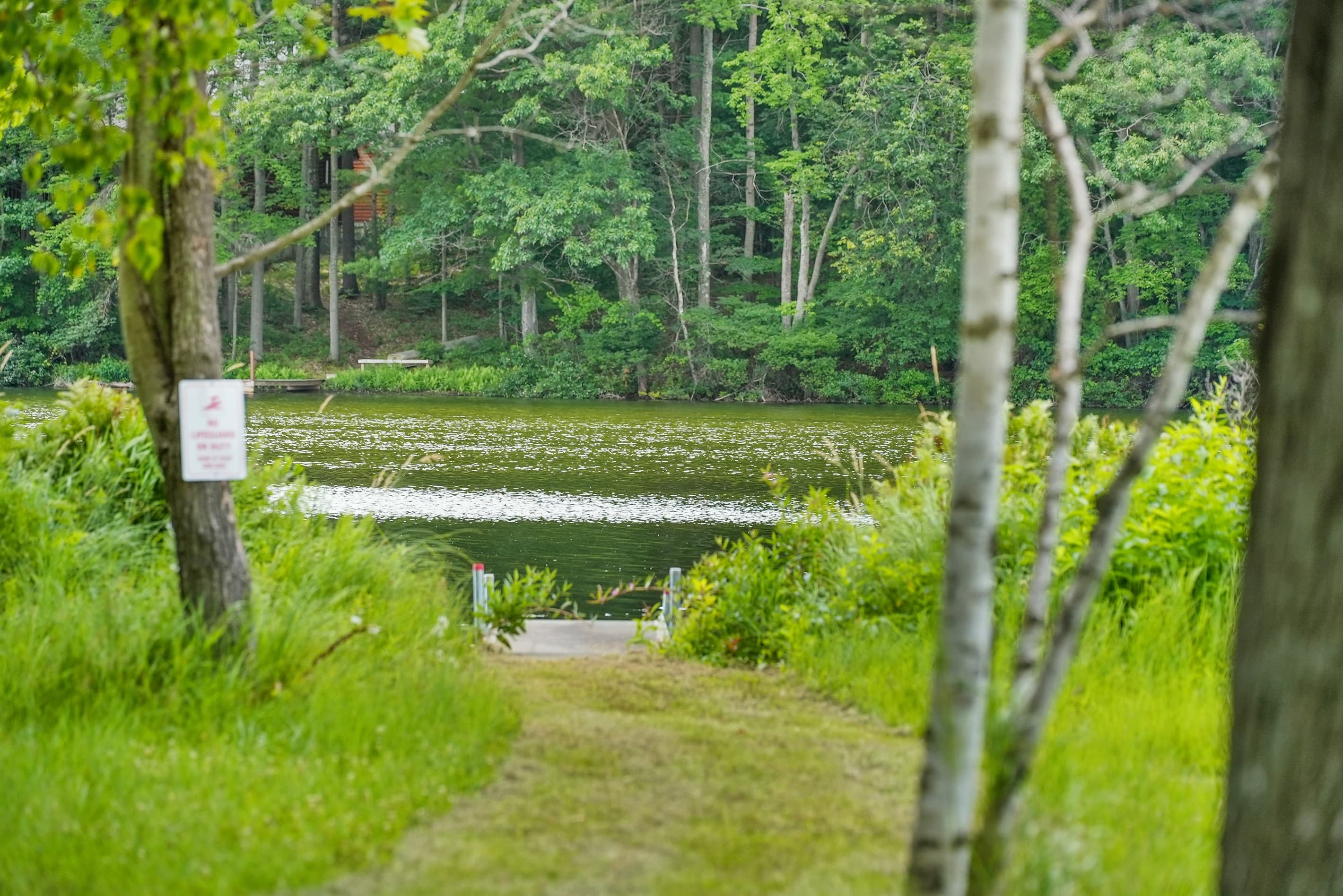 Private lake access from the home - Lakeside Retreat: Stroll down to your private dock and soak in nature's tranquility!
