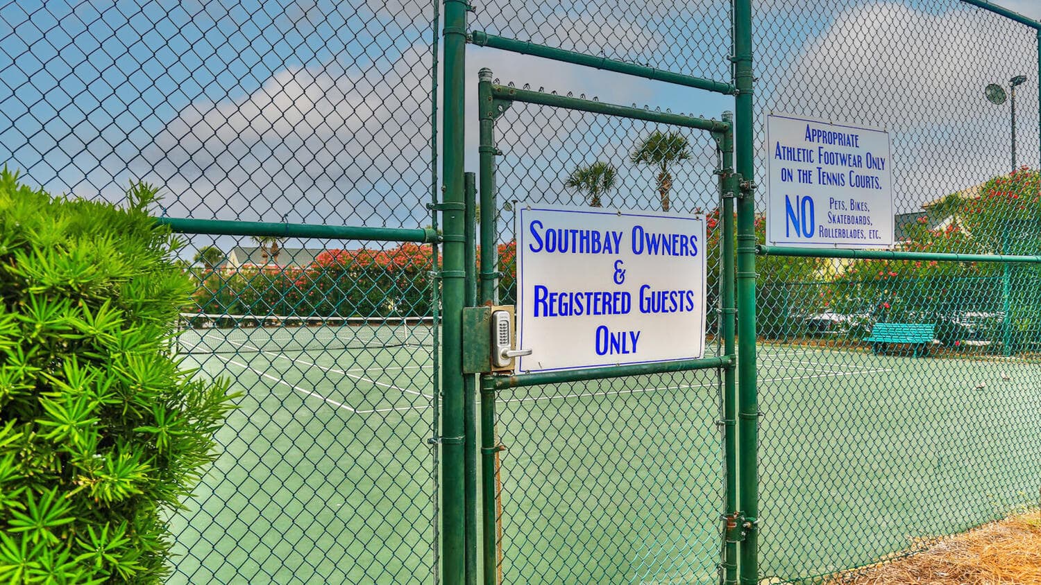 Get energized and play some tennis with racquets and balls provided for you