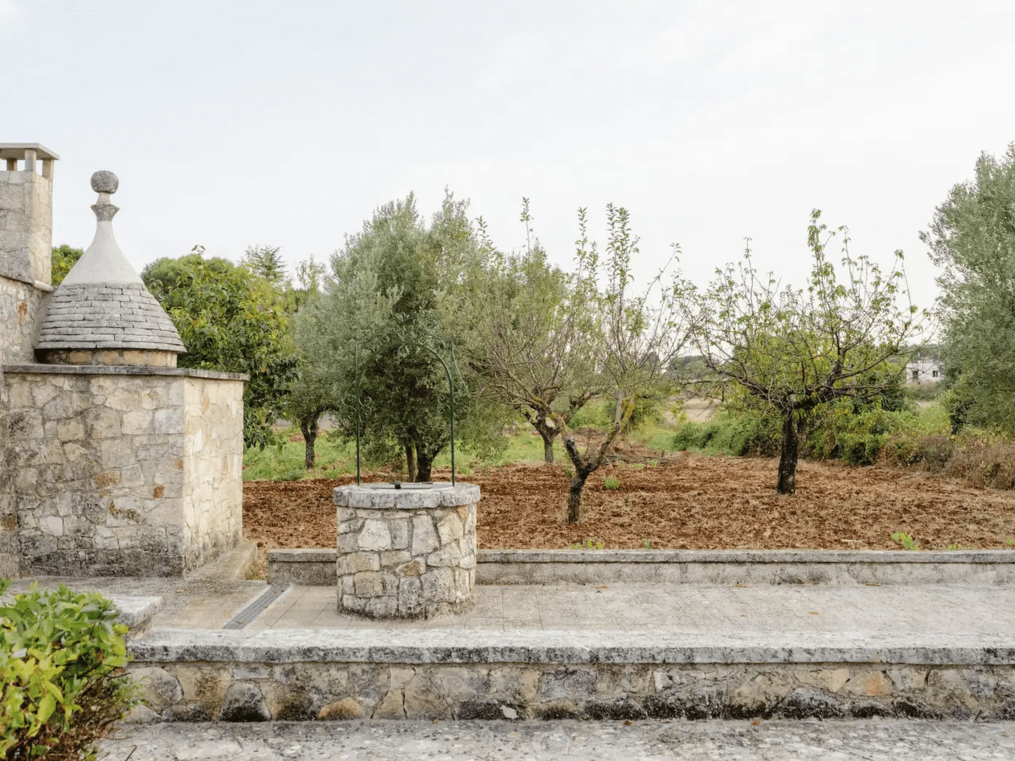 Gallery Image 22