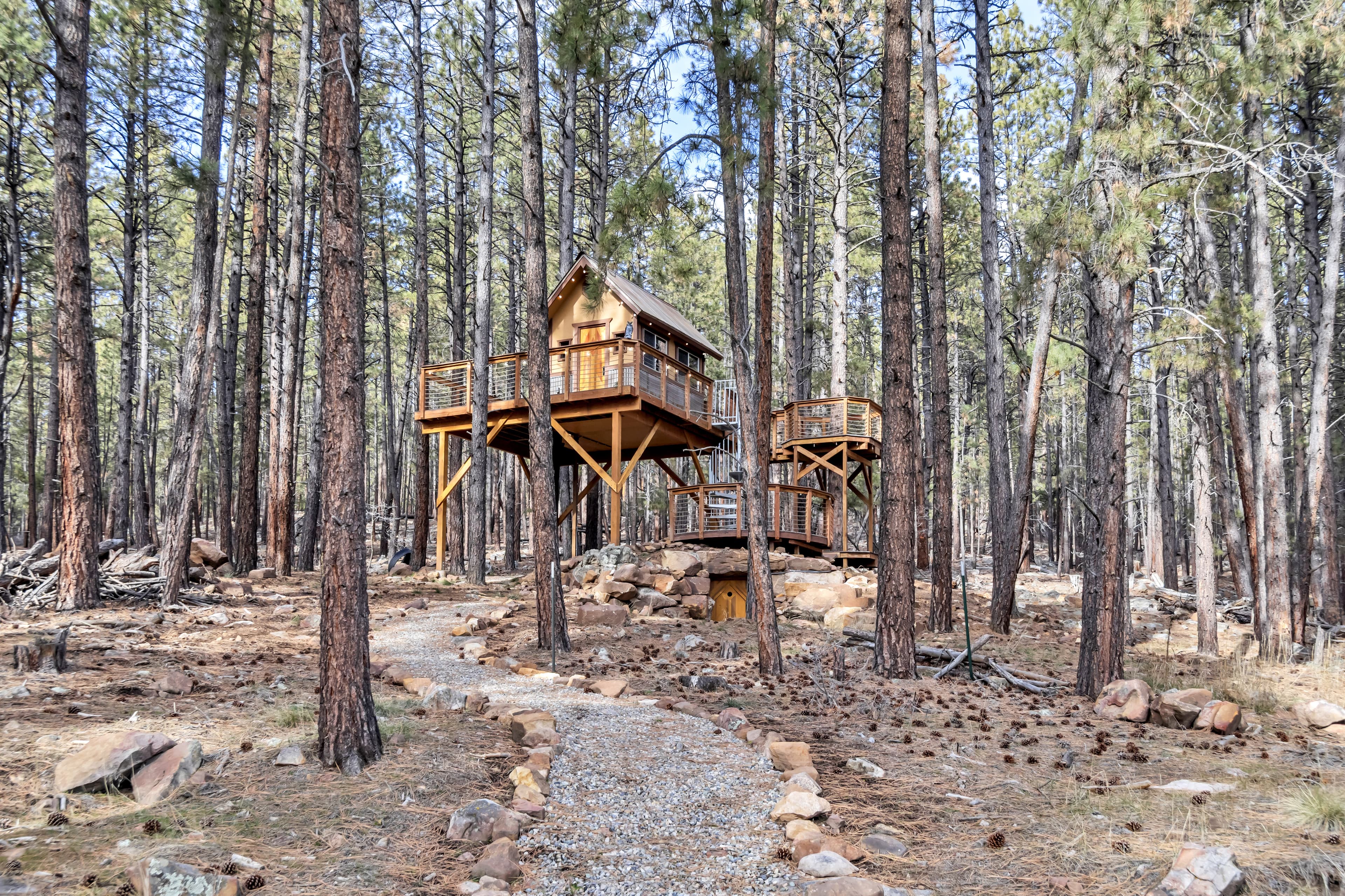 Tree House