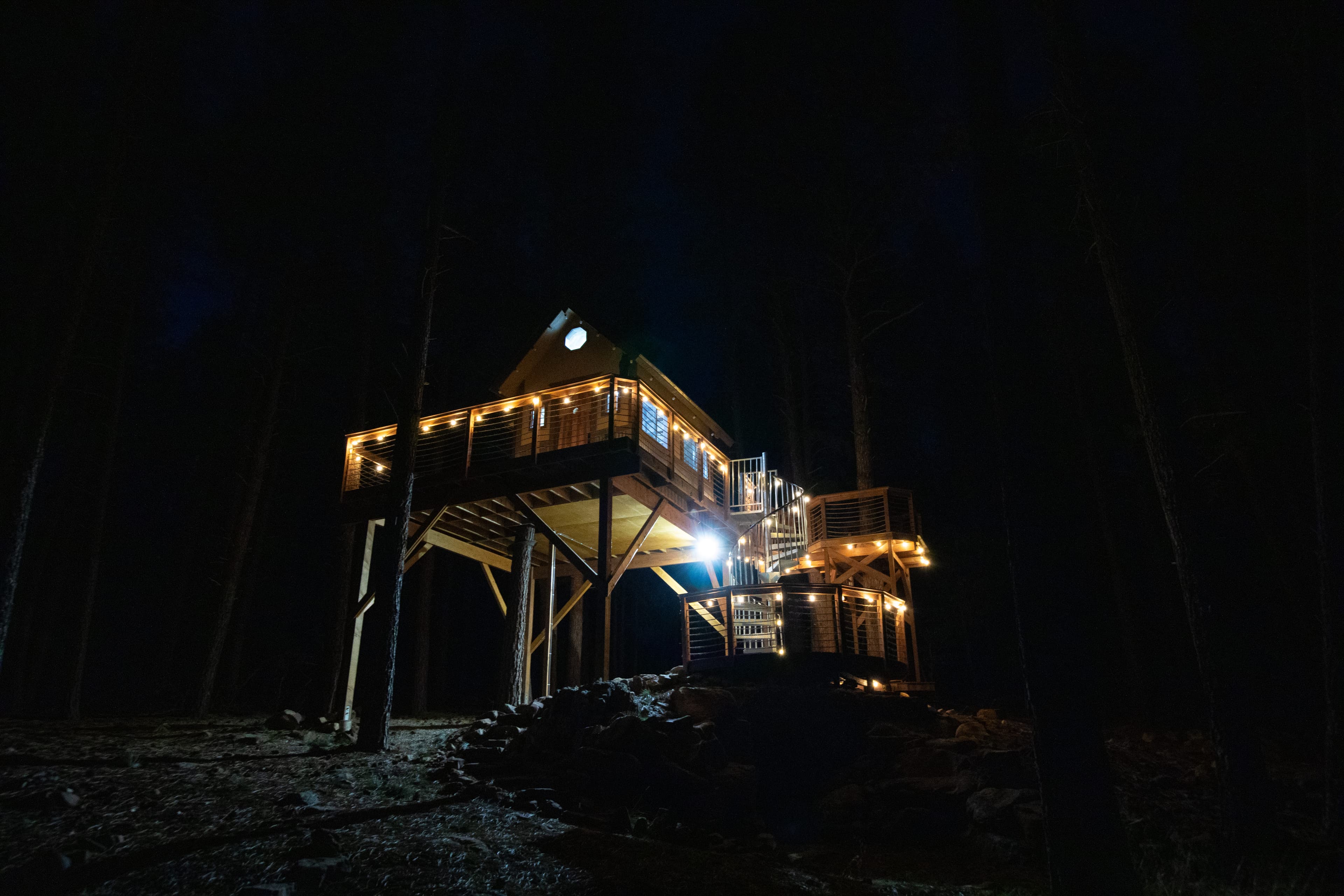 Tree House