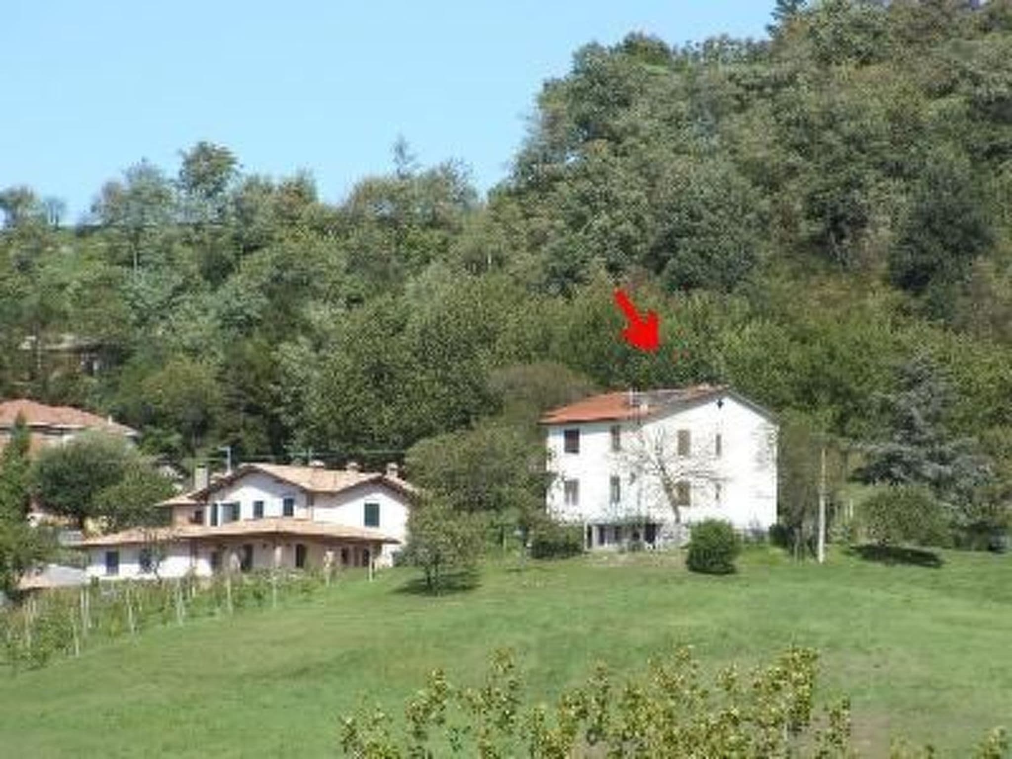 Gallery Image 9