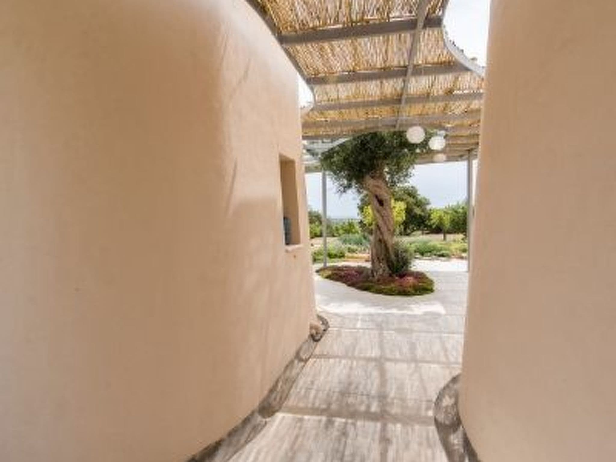 Gallery Image 21