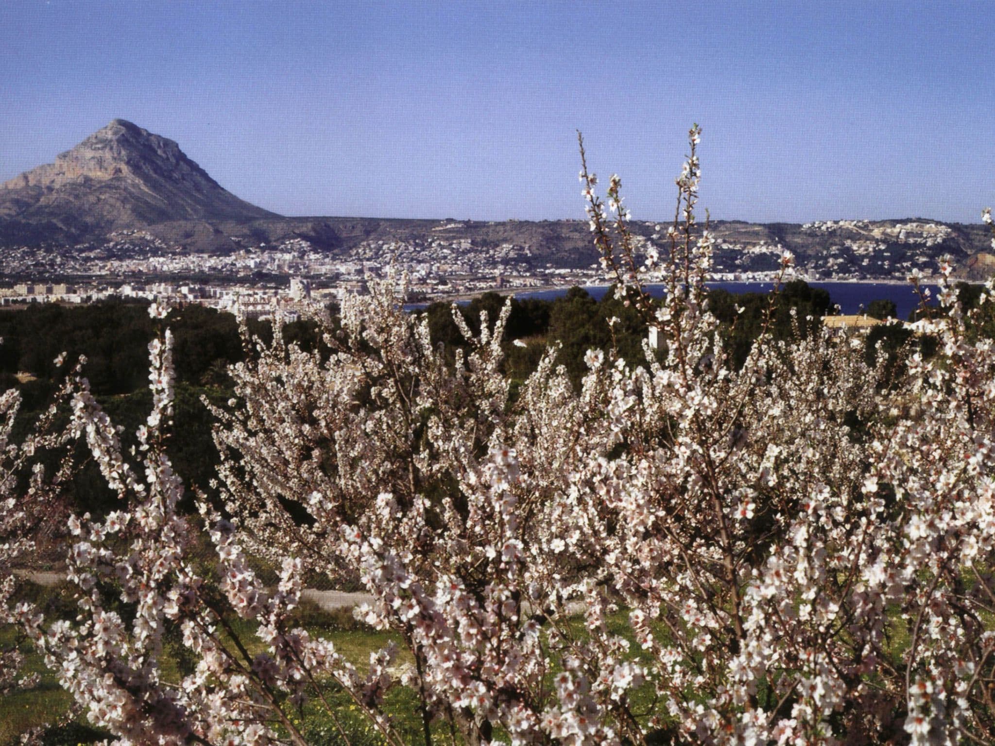Gallery Image 12