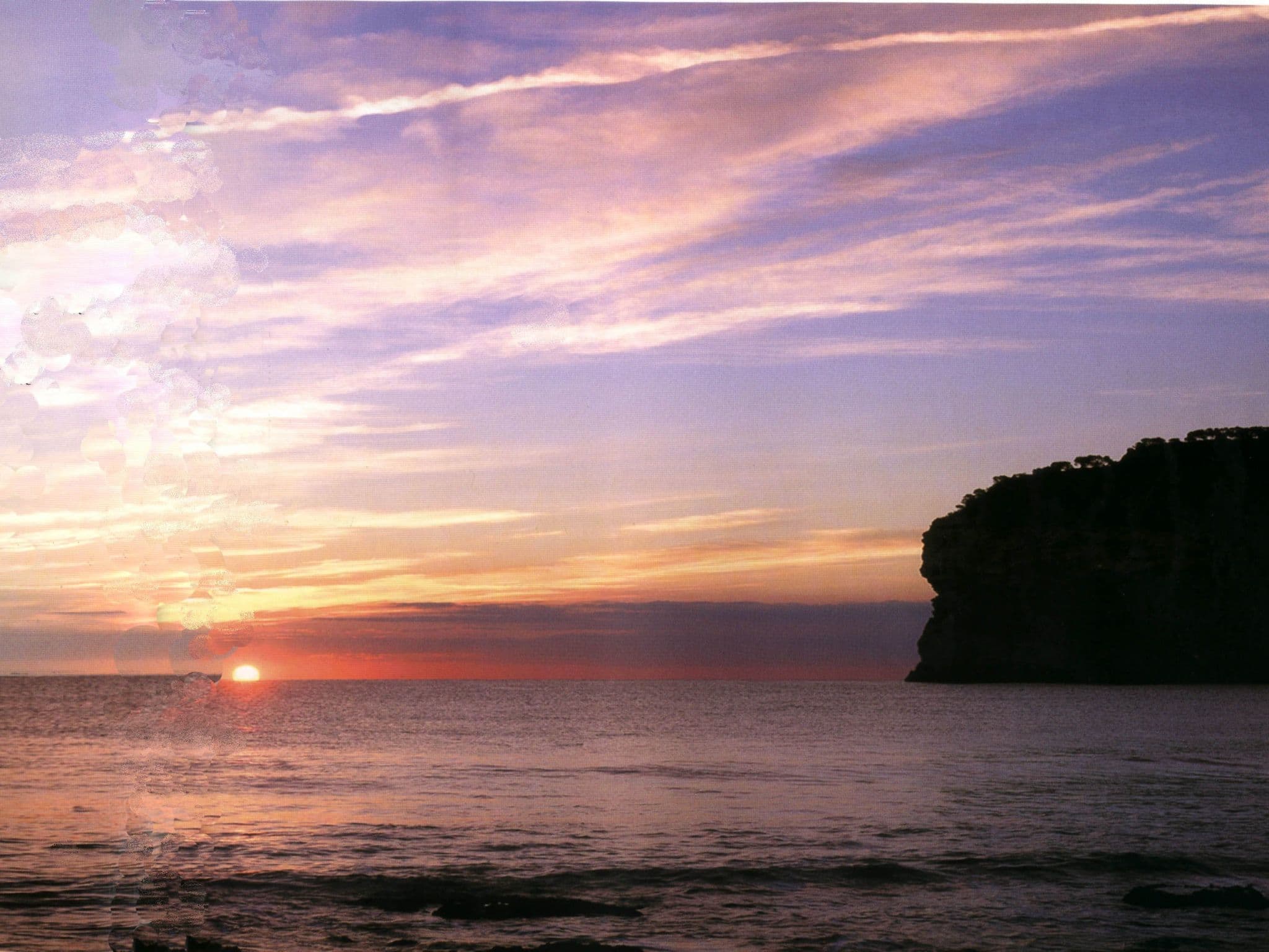 Gallery Image 23