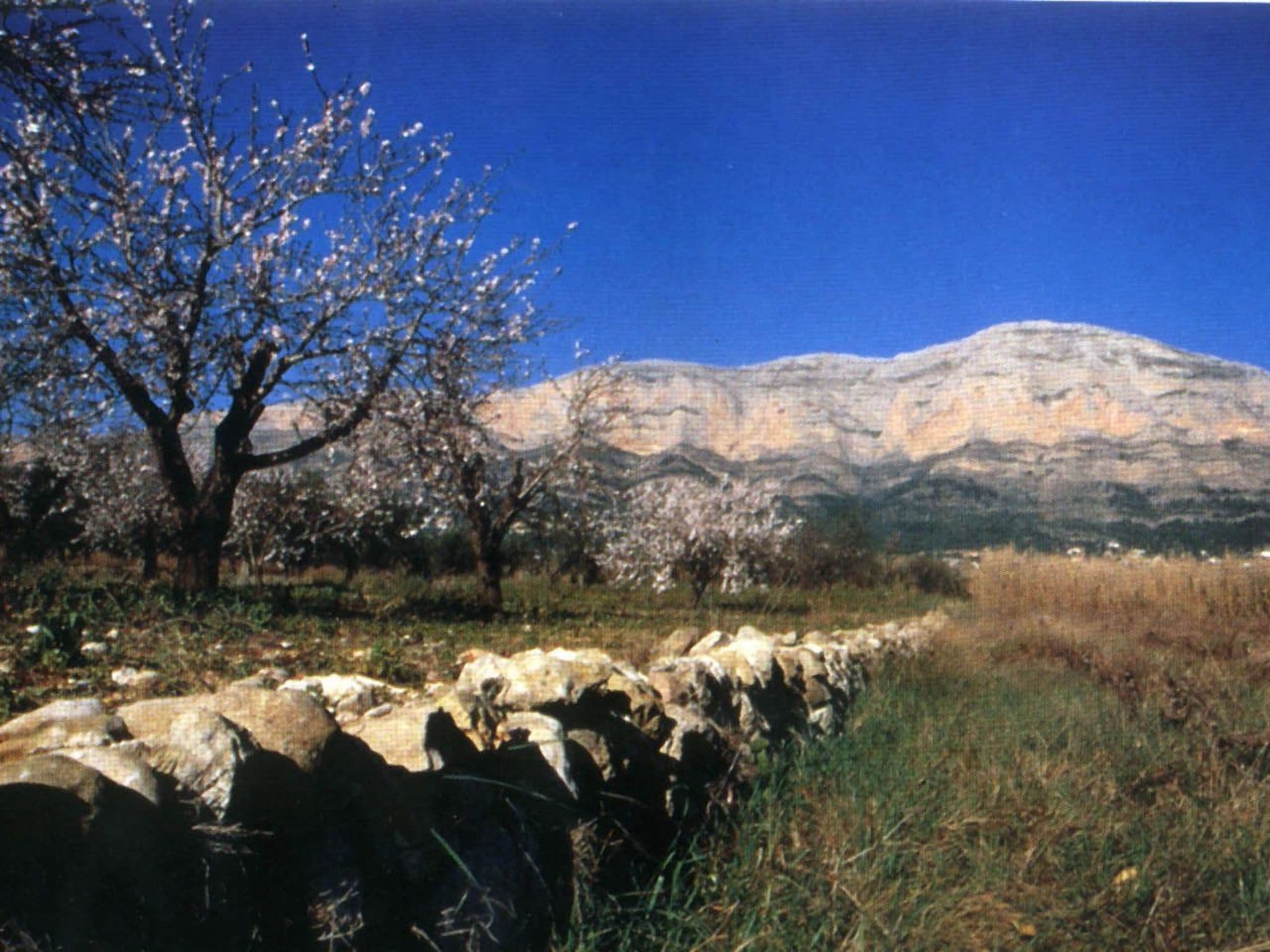 Gallery Image 24