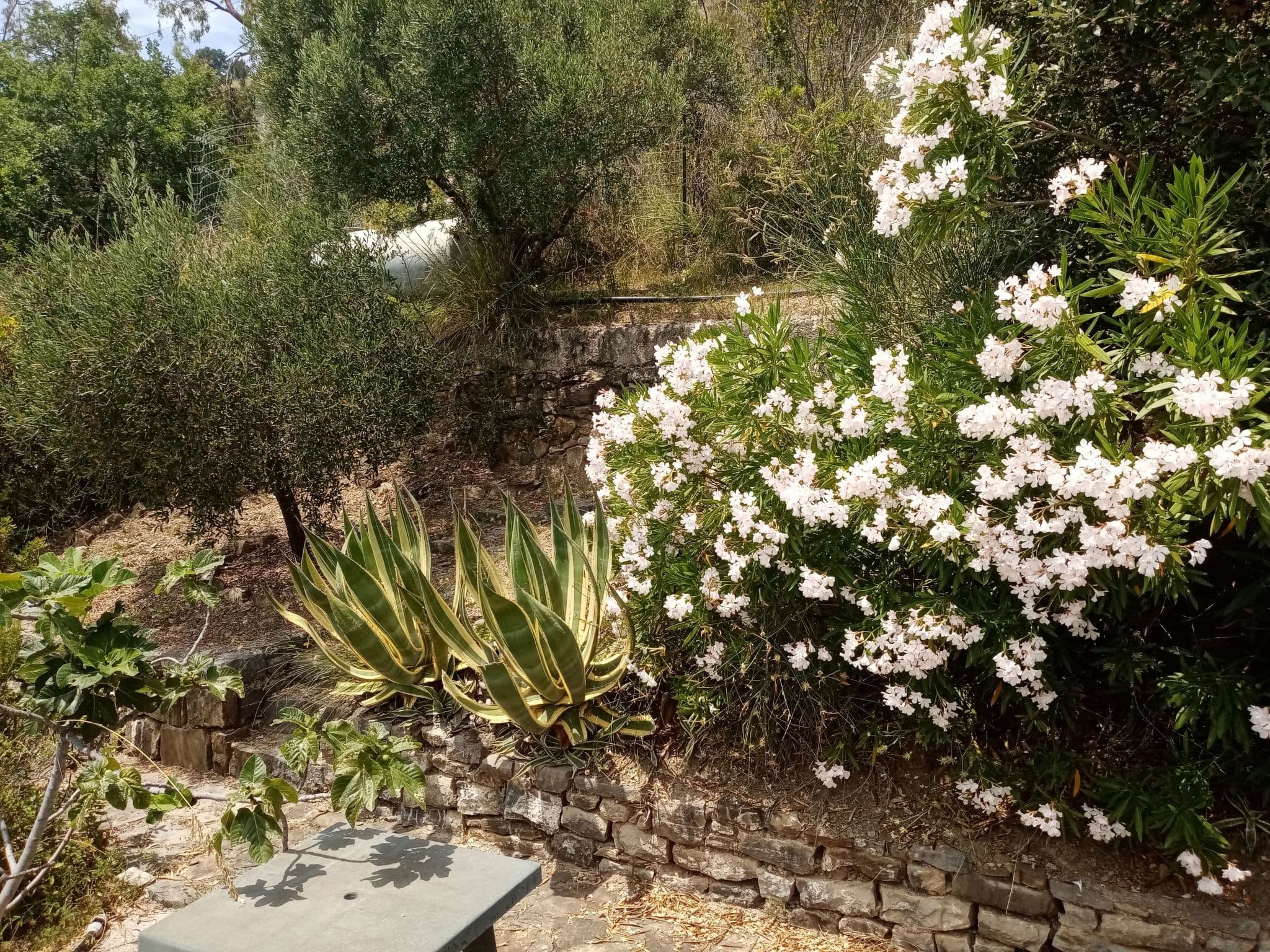 Gallery Image 36