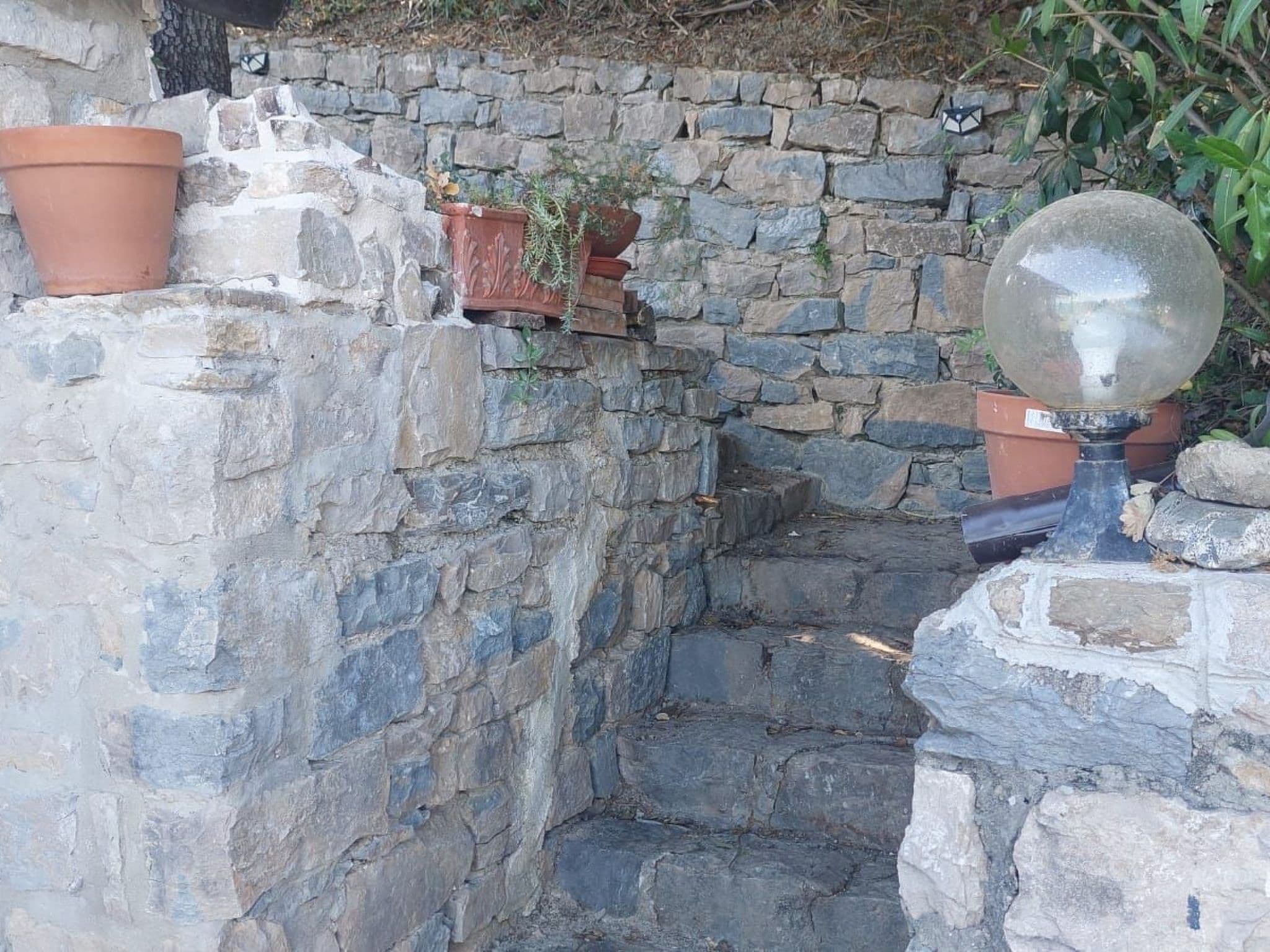 Gallery Image 54
