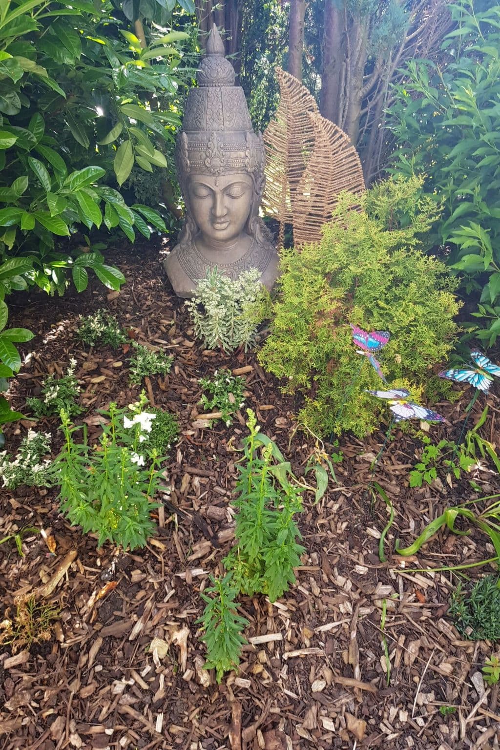 Gallery Image 15