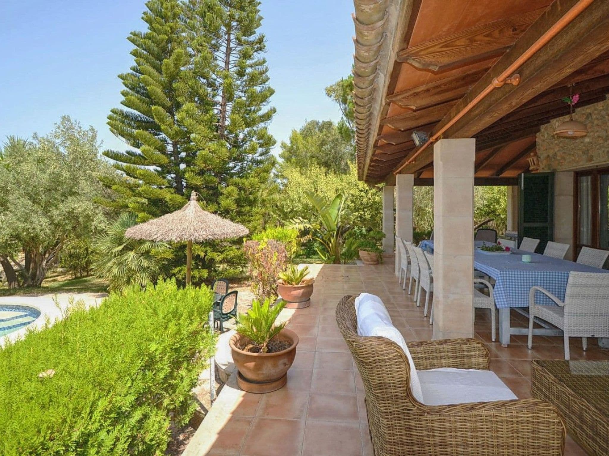 Terrace