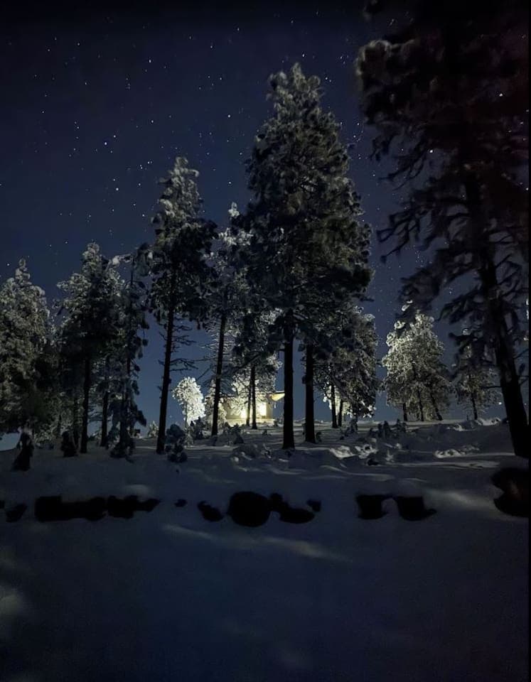 winter night of chelan forest