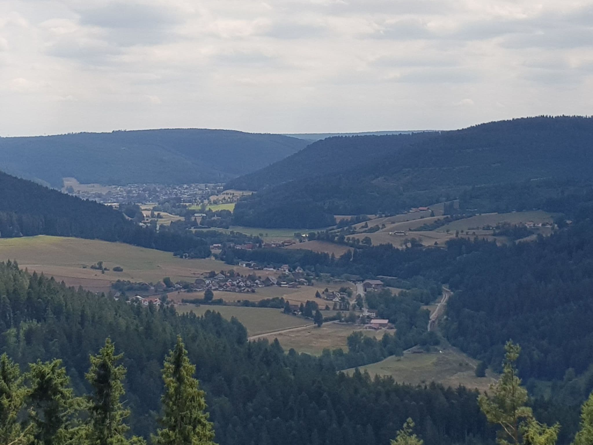 View