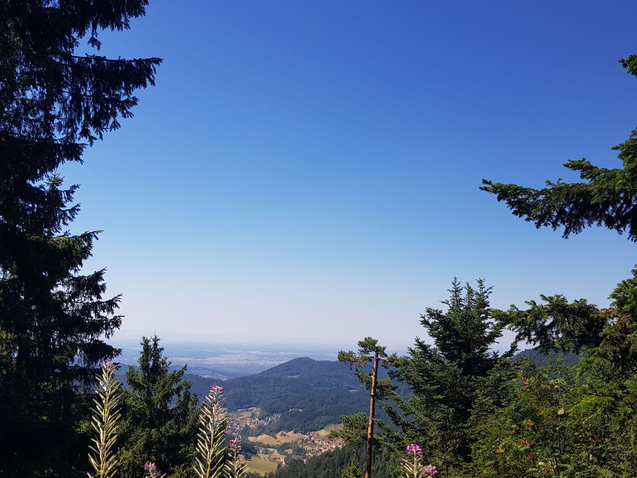 View