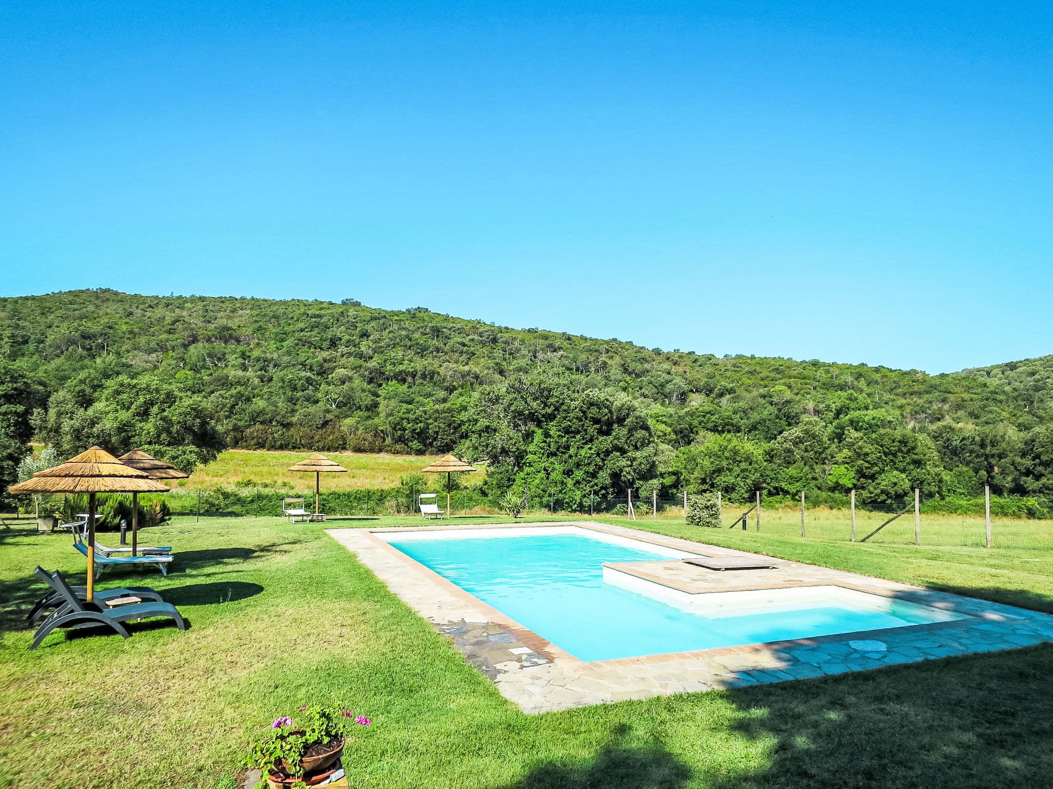 Pool Outdoor