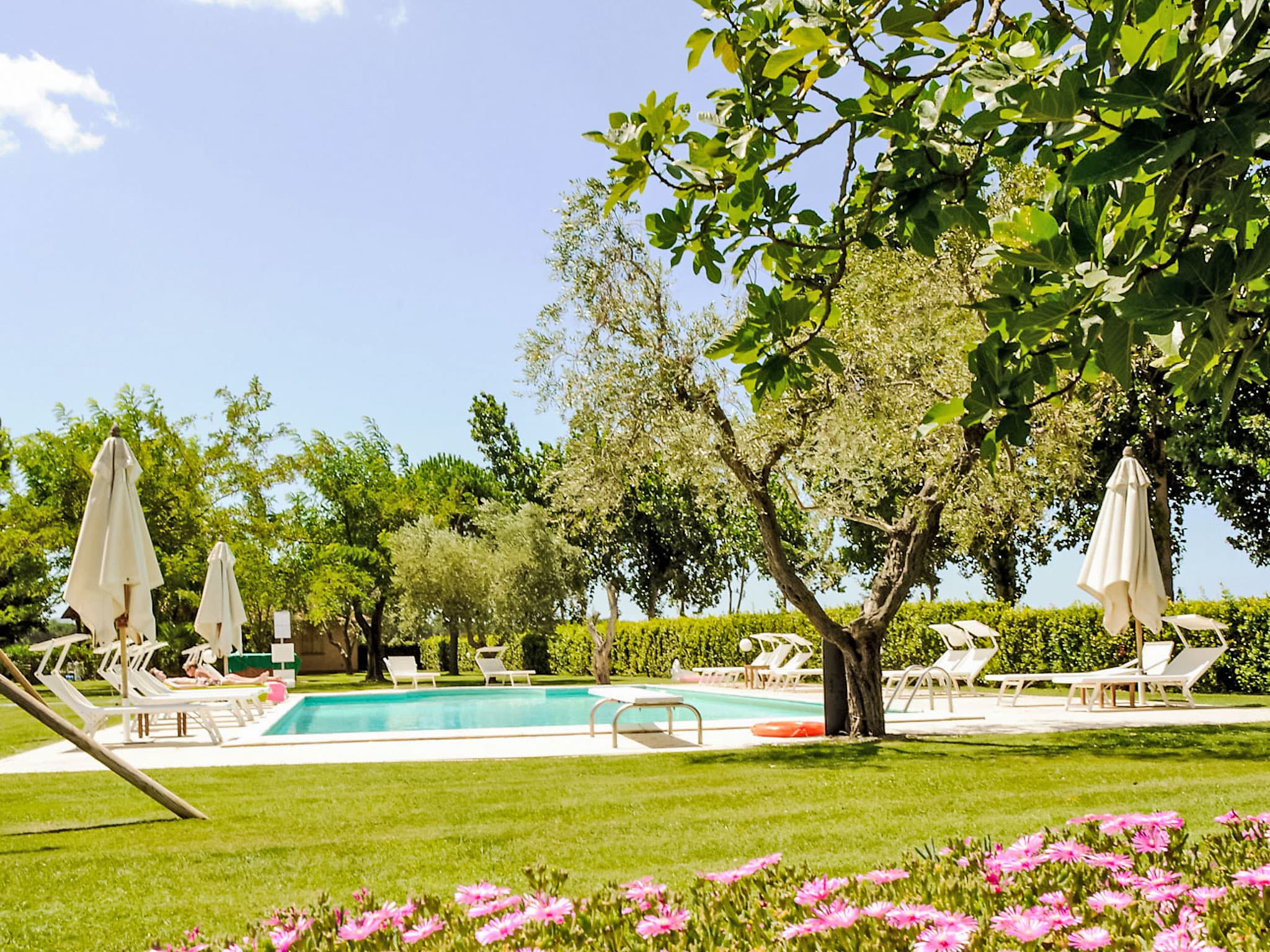 Pool Outdoor