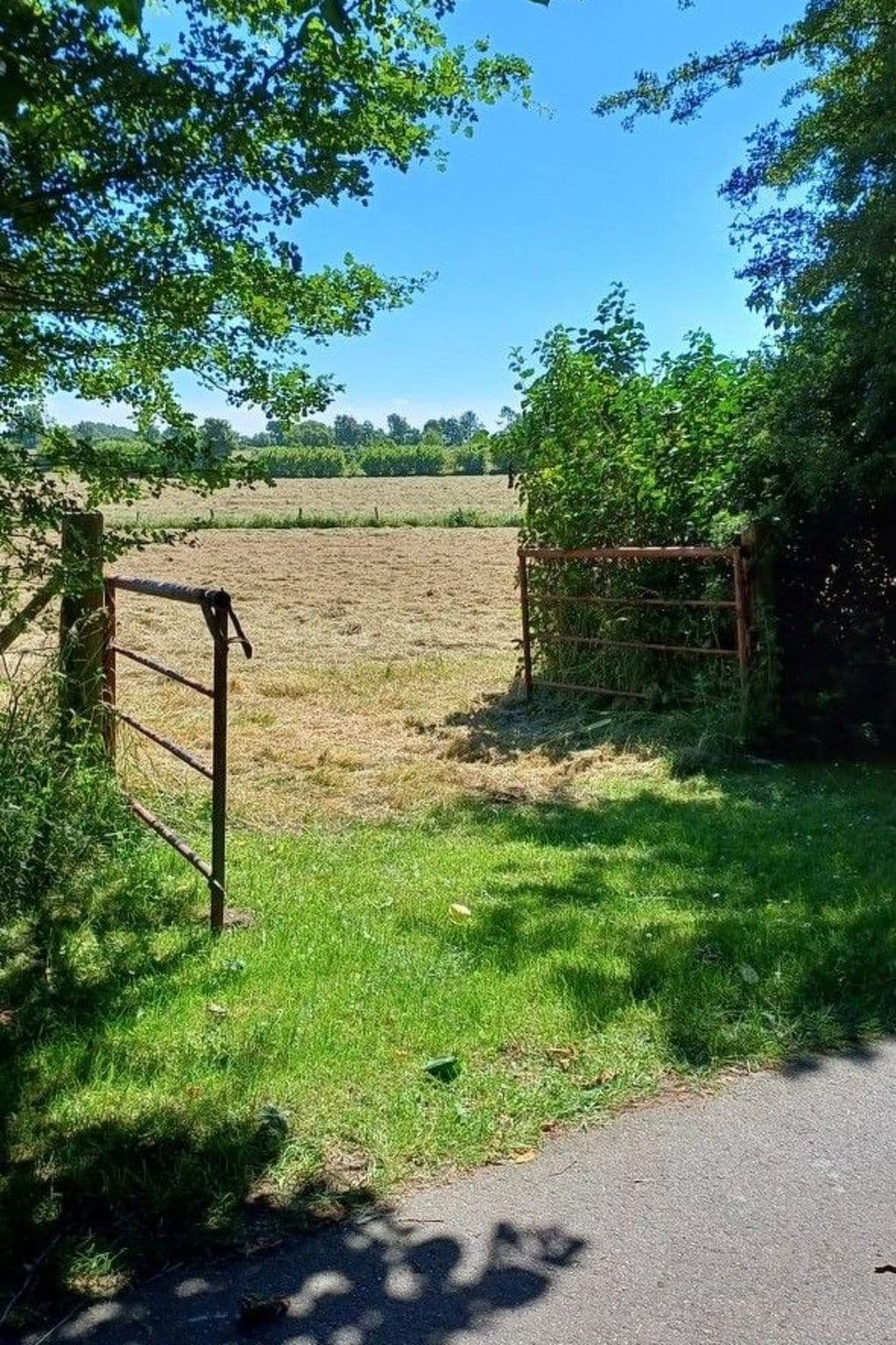 Gallery Image 28