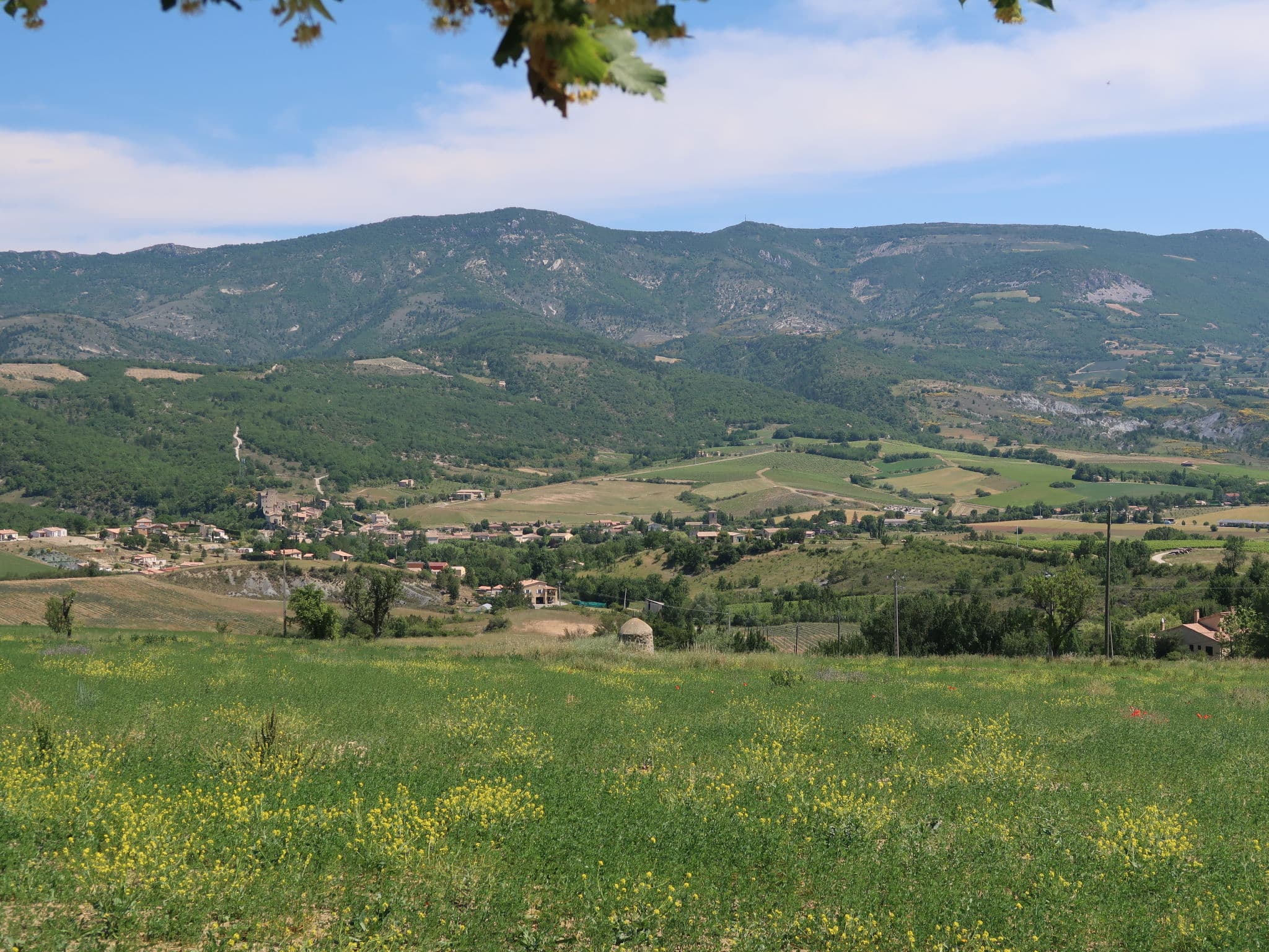 View