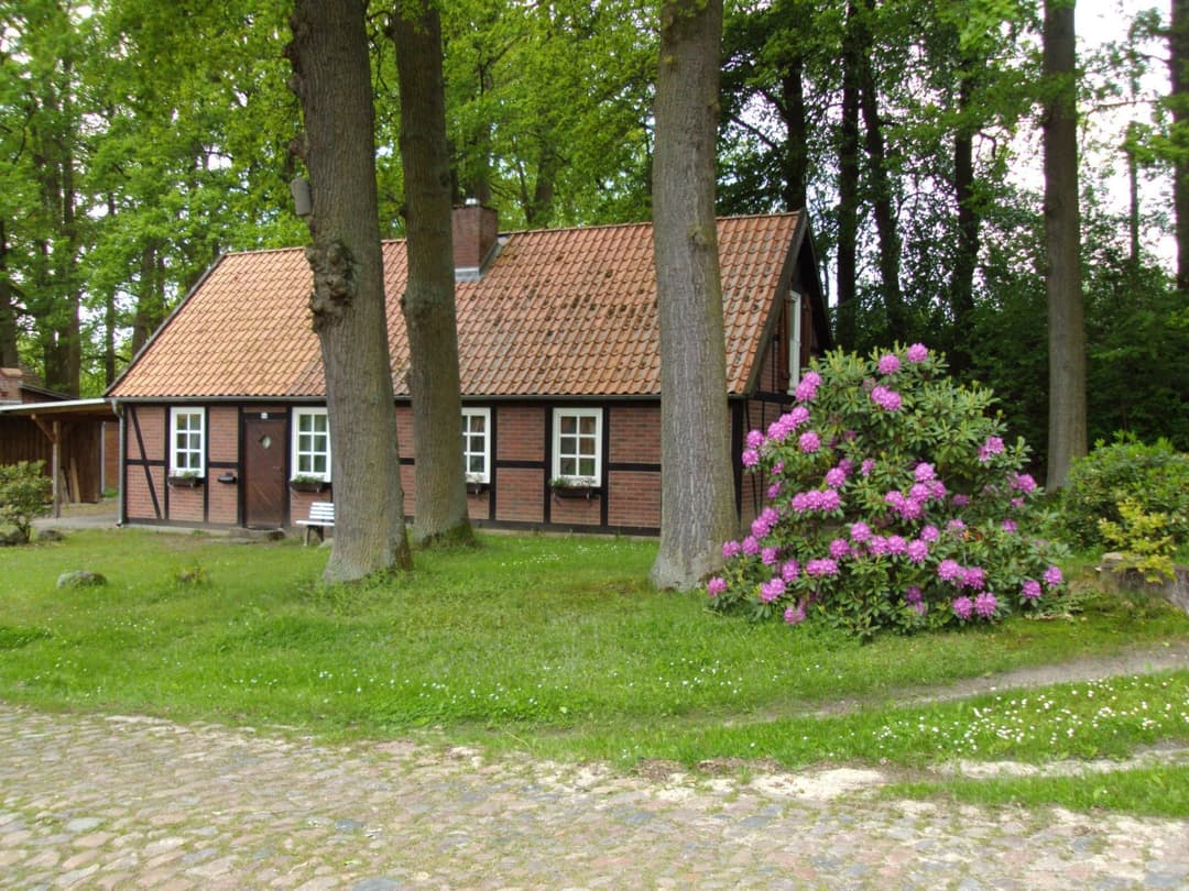 Large Image