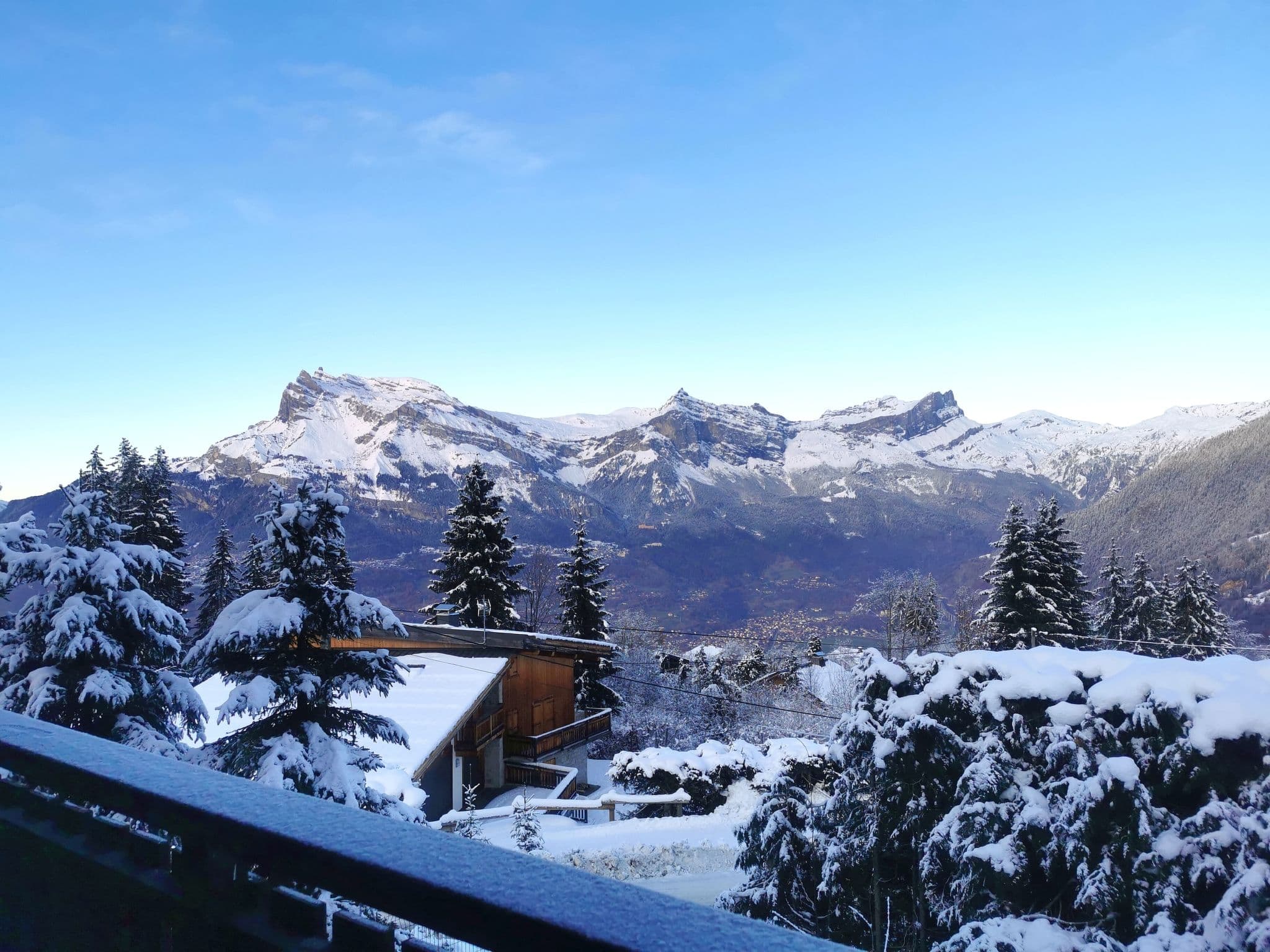 View