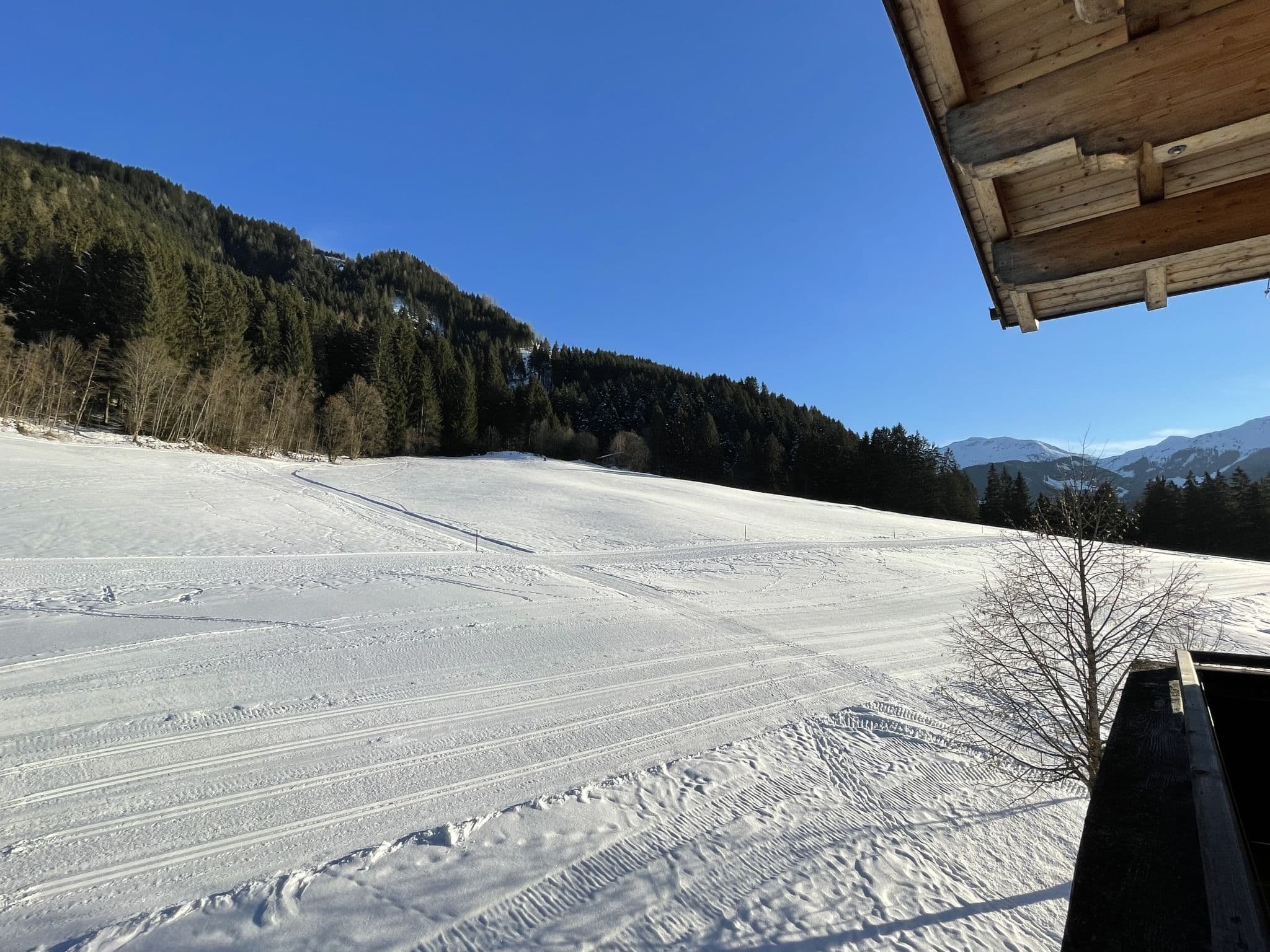 View