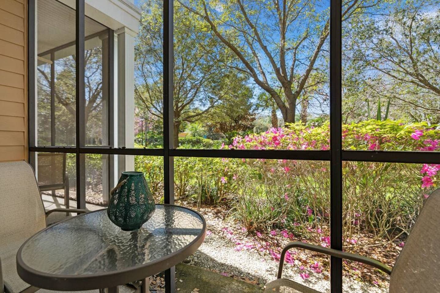 View from back patio