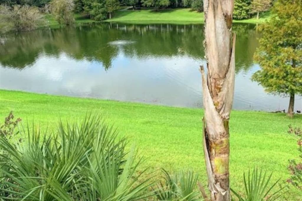 The scenery at Bahama Bay is gorgeous!