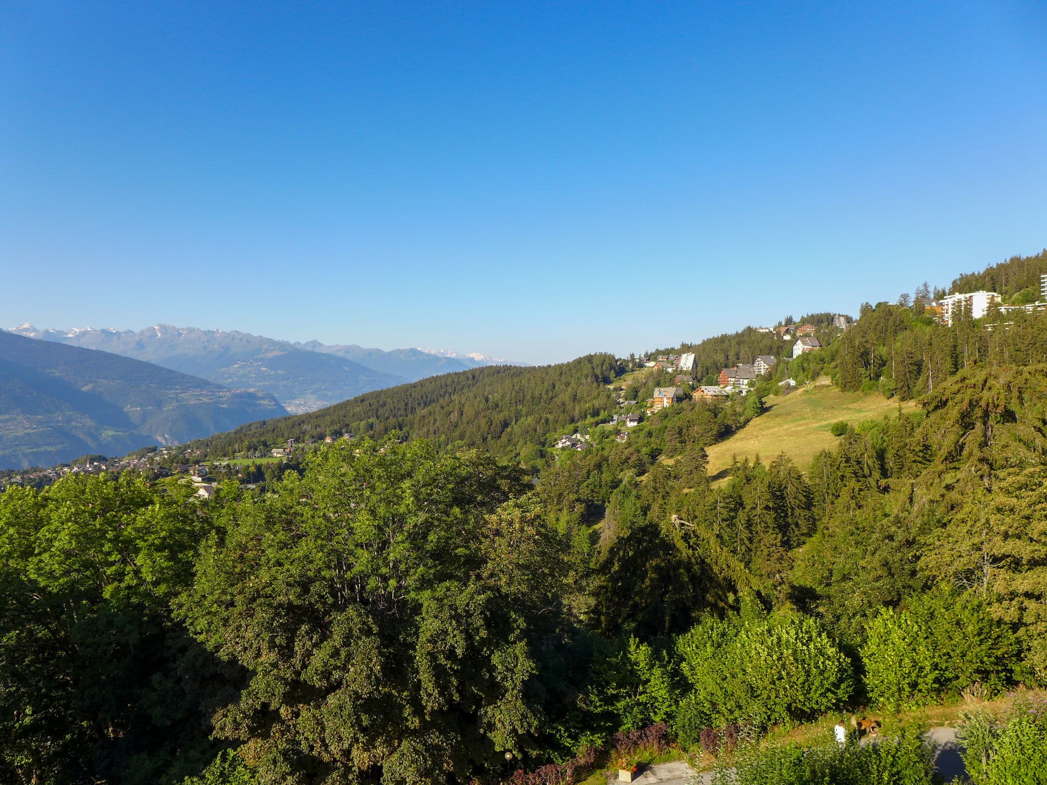 View