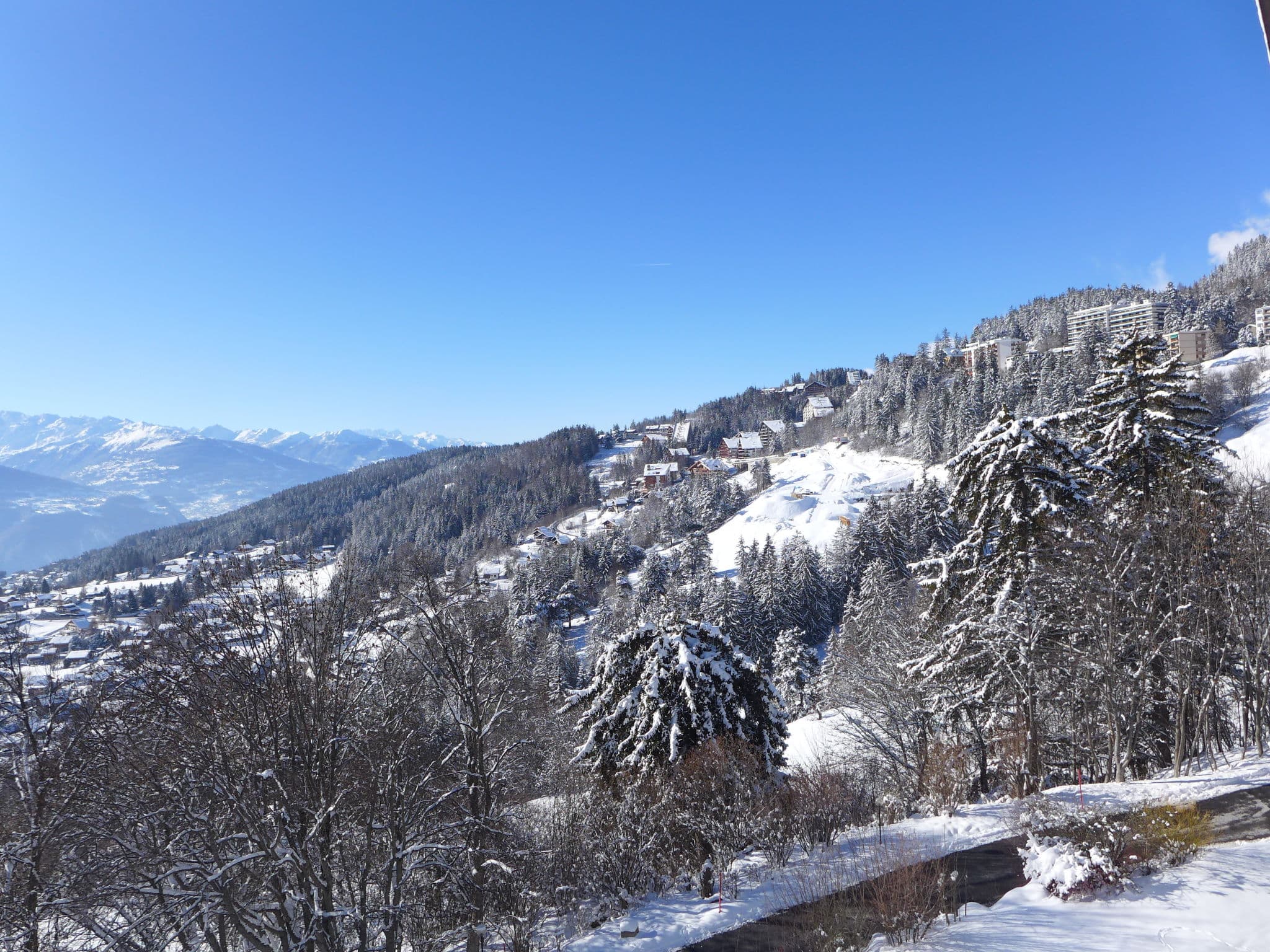 View