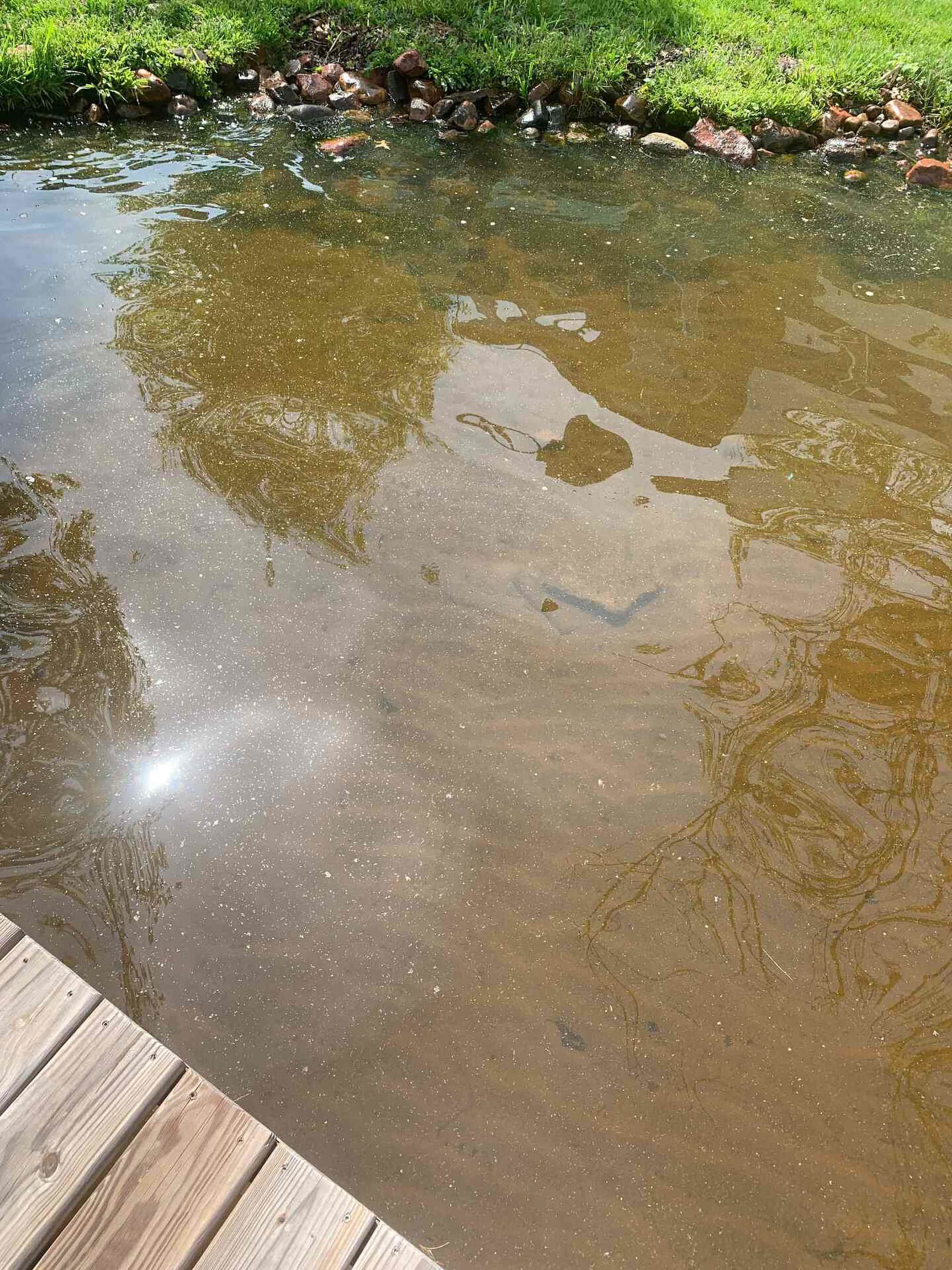 Photo of the lake bottom in front of the house early spring near the dock. 