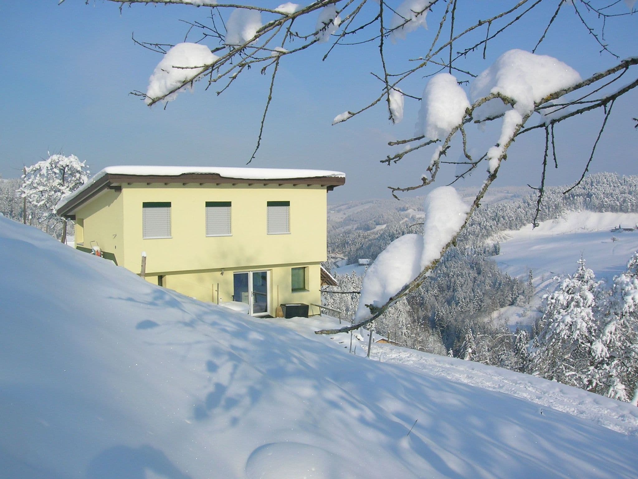 Gallery Image 12