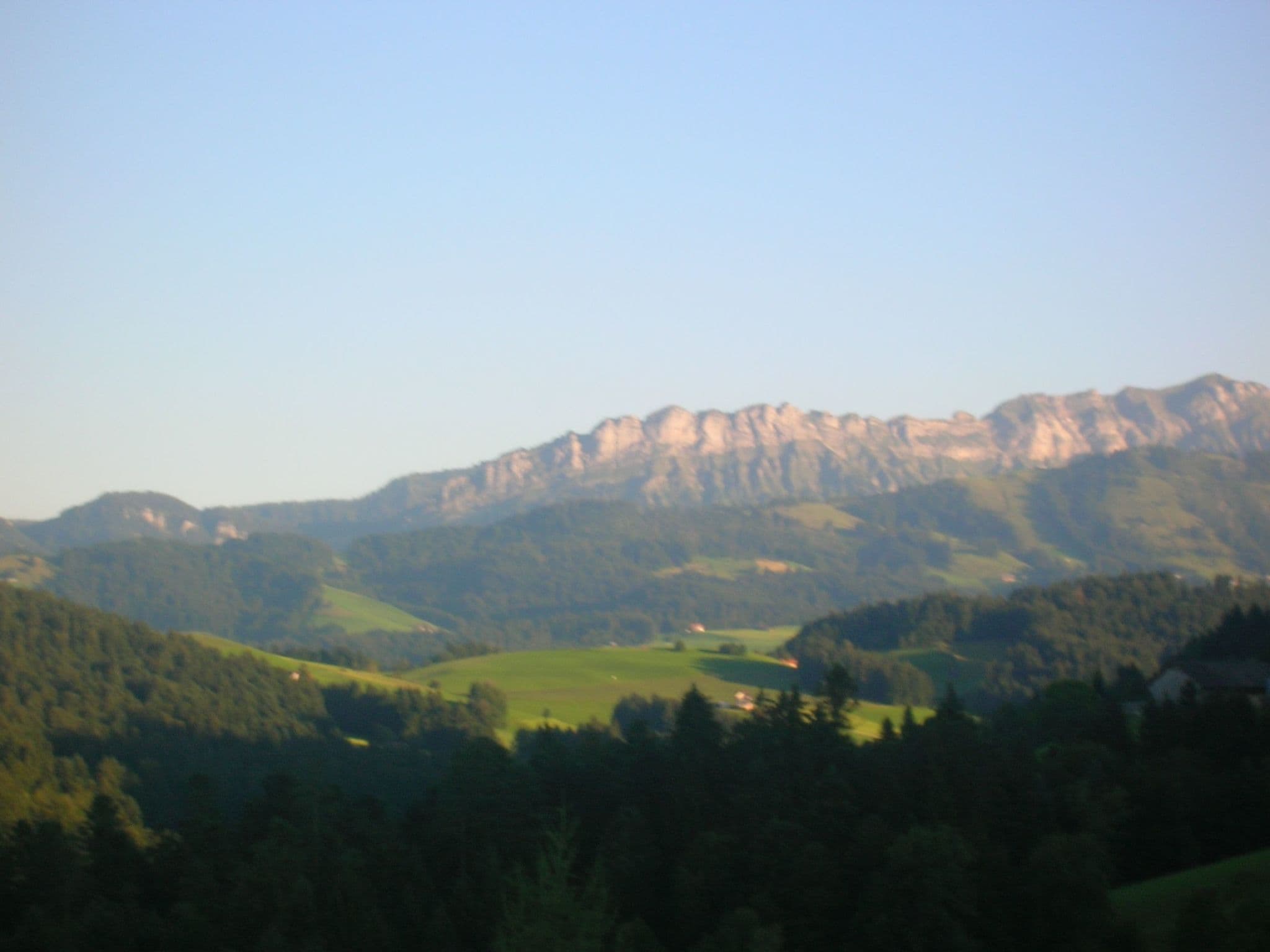 Gallery Image 13